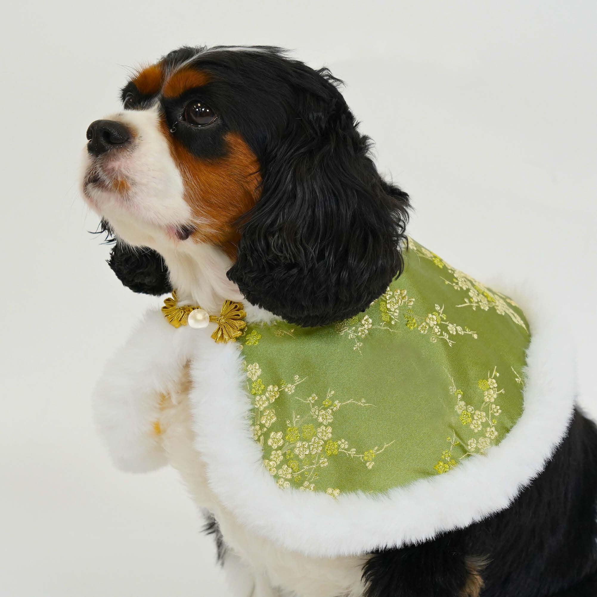 Chinese Floral Damask Green Cape