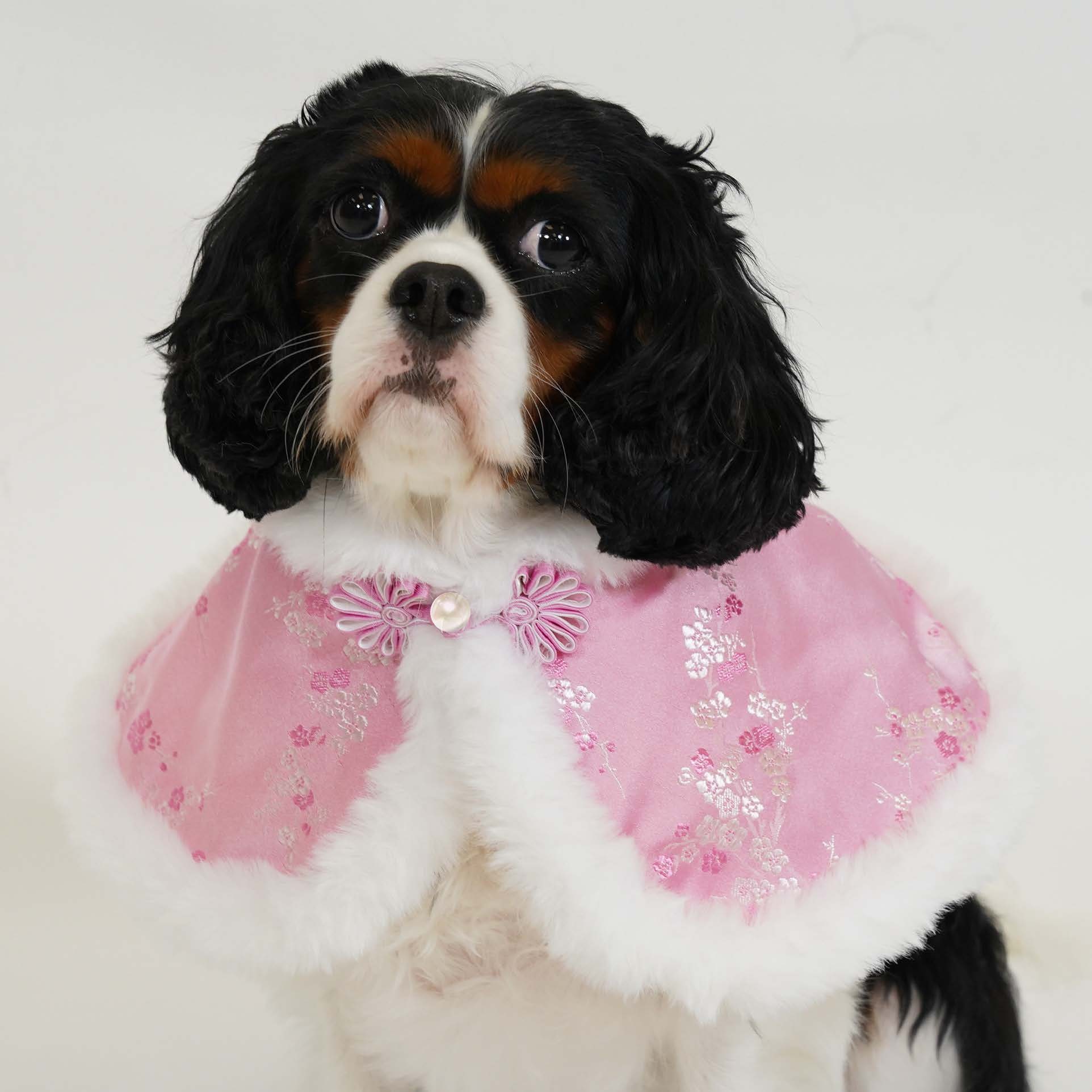 Chinese Floral Damask Pink Cape