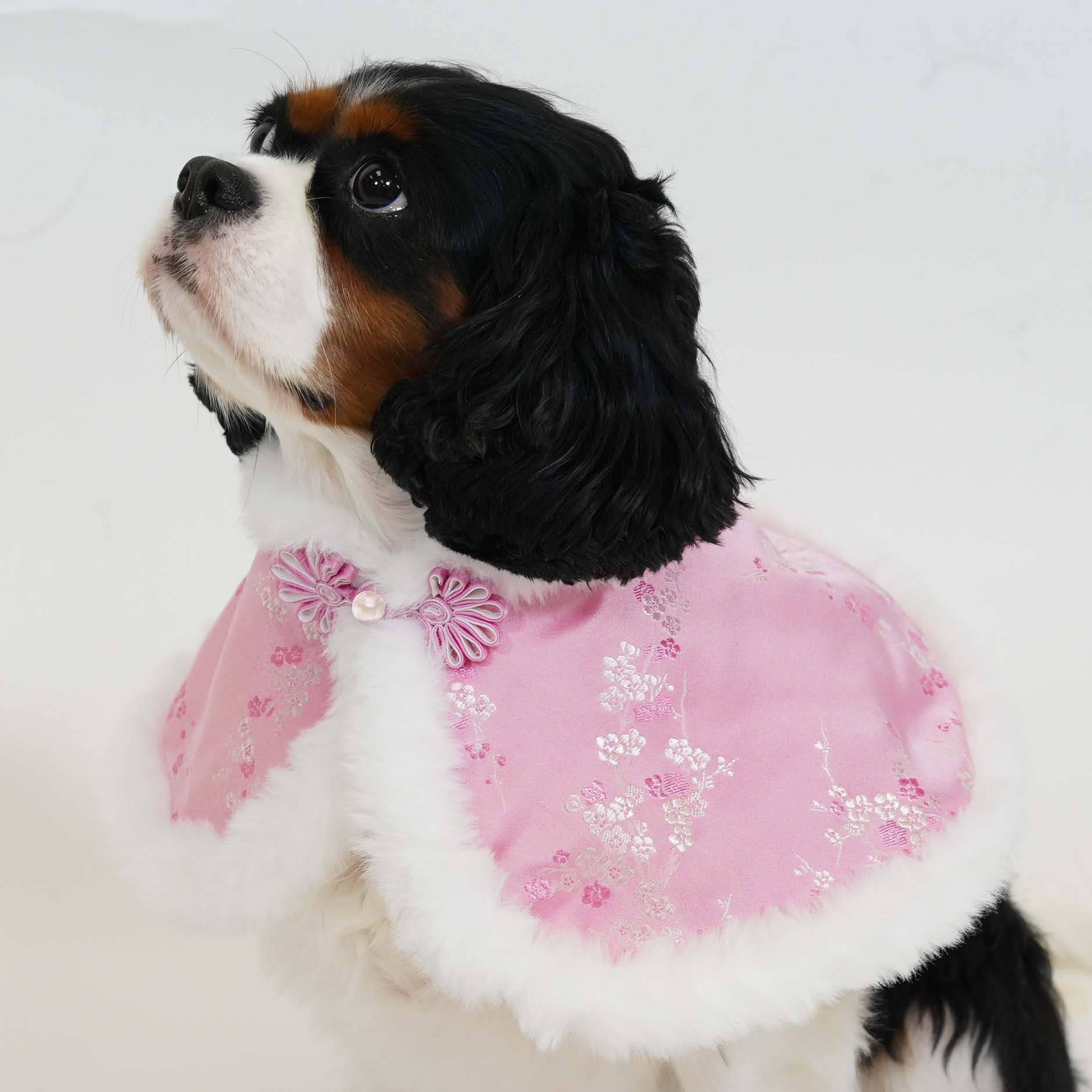 Chinese Floral Damask Pink Cape