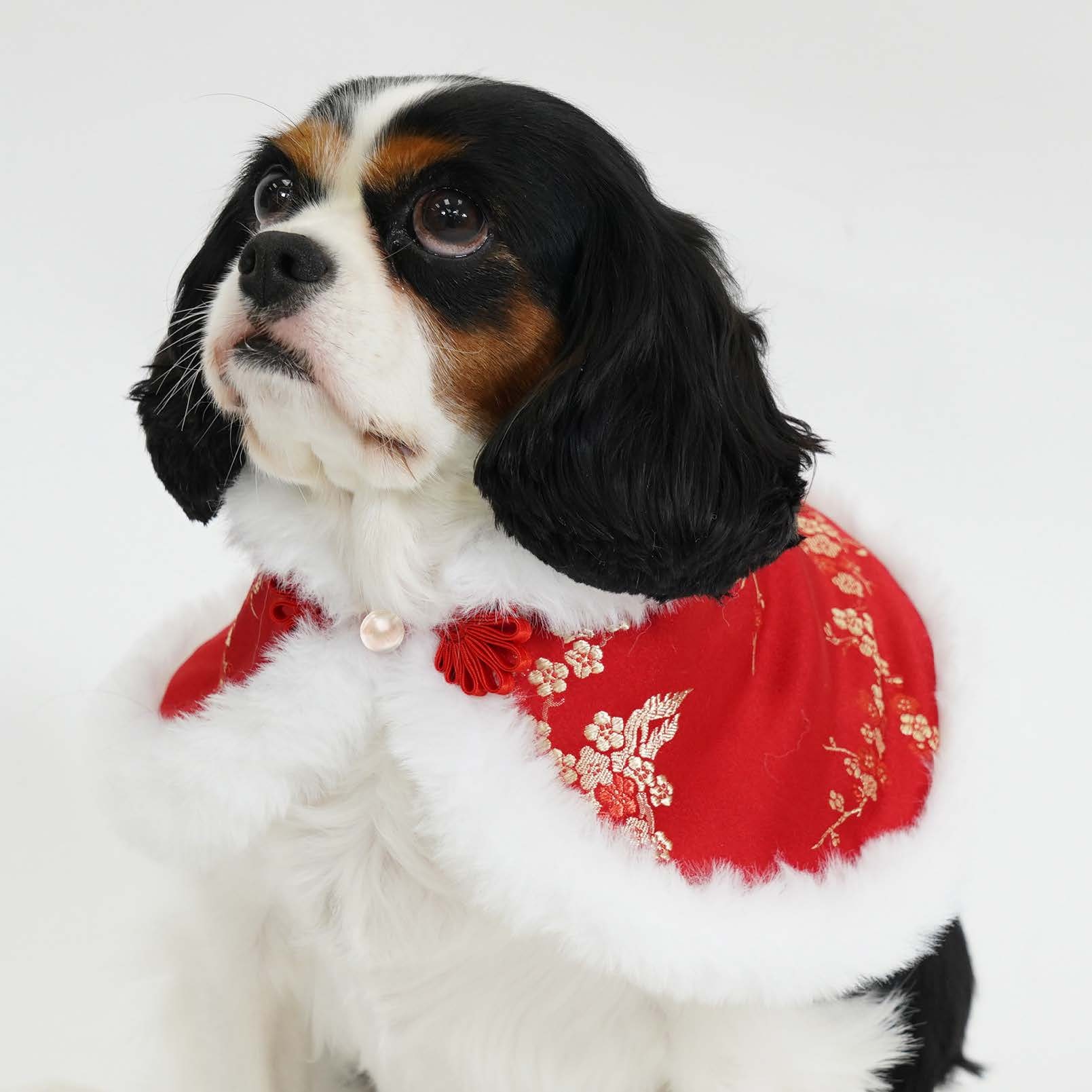 Chinese Floral Damask Red Cape