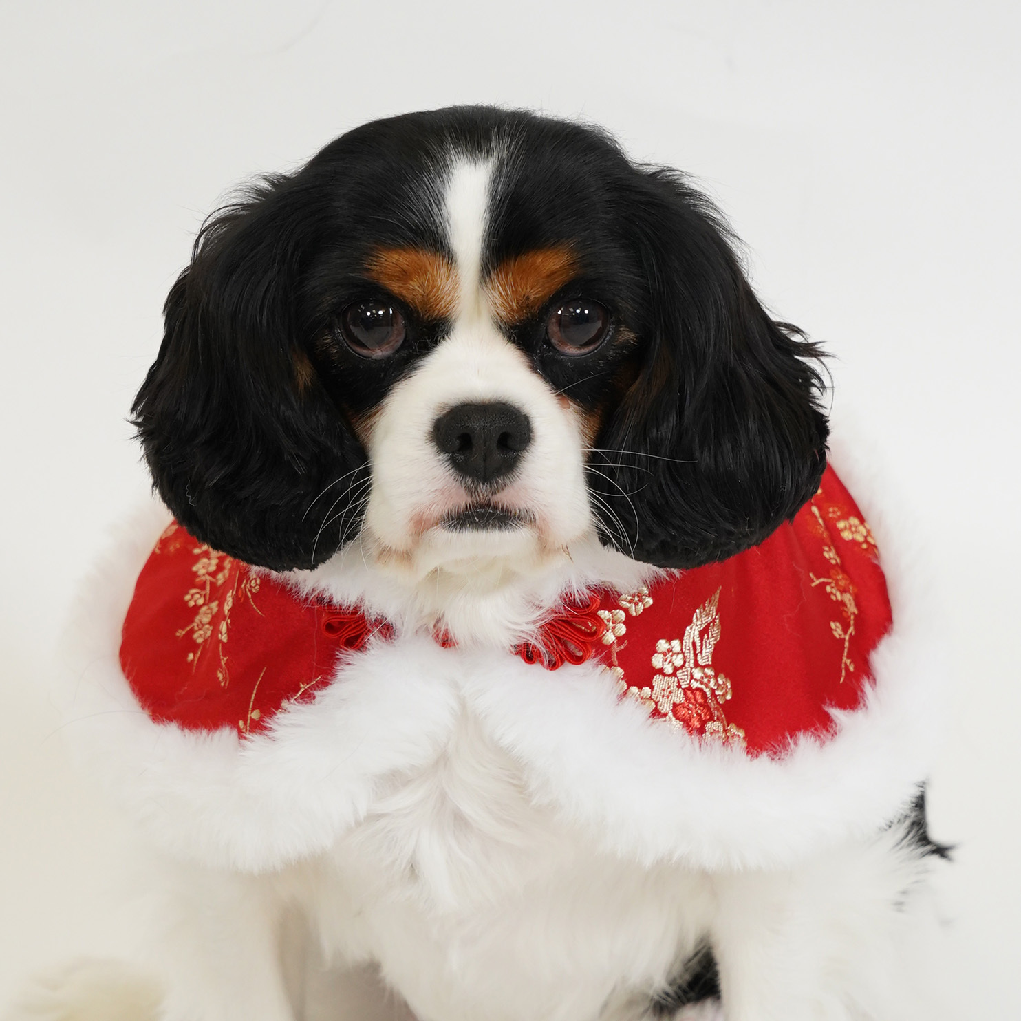 Chinese Floral Damask Red Cape