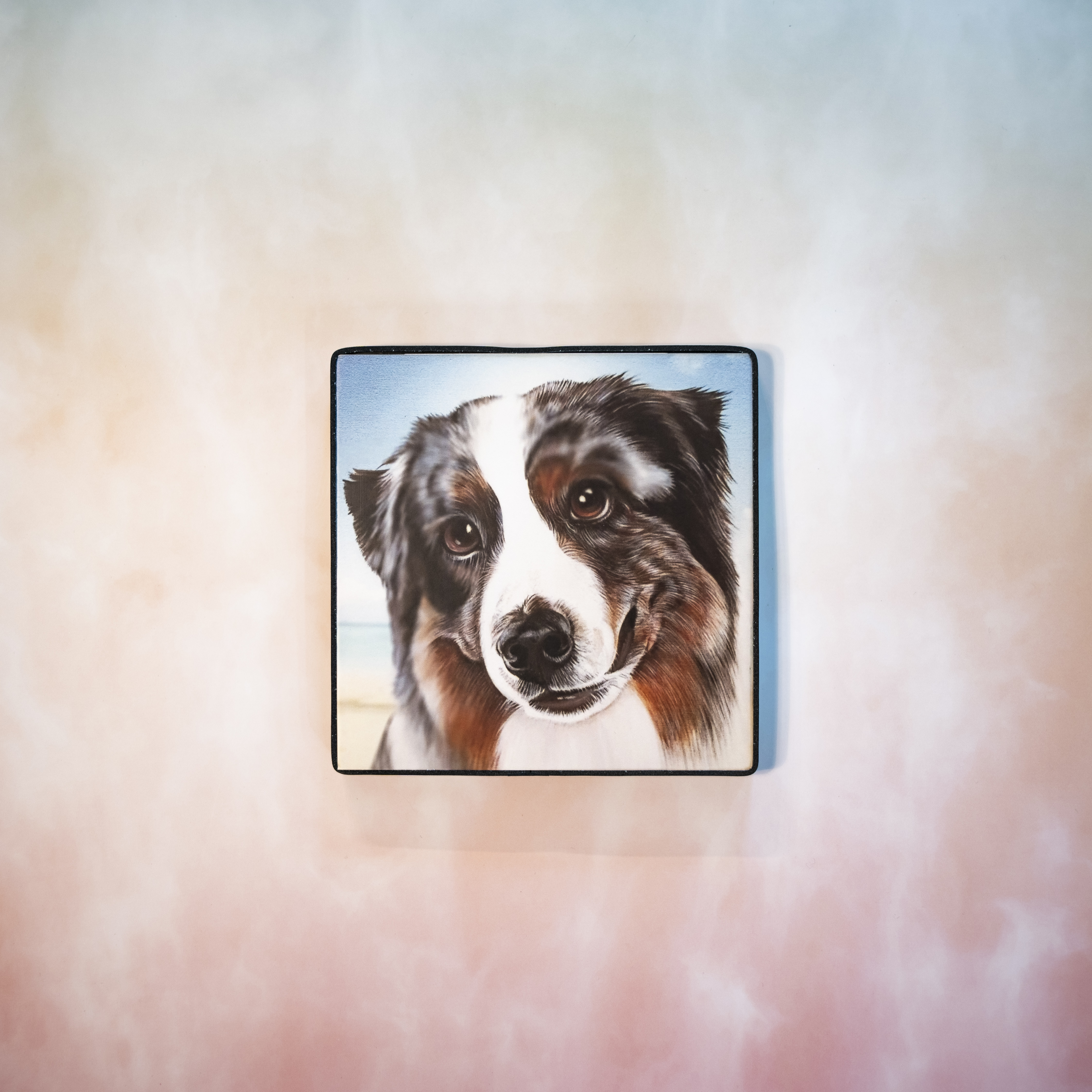 Moon_Sir「寵物格格油畫」- 伯恩山犬