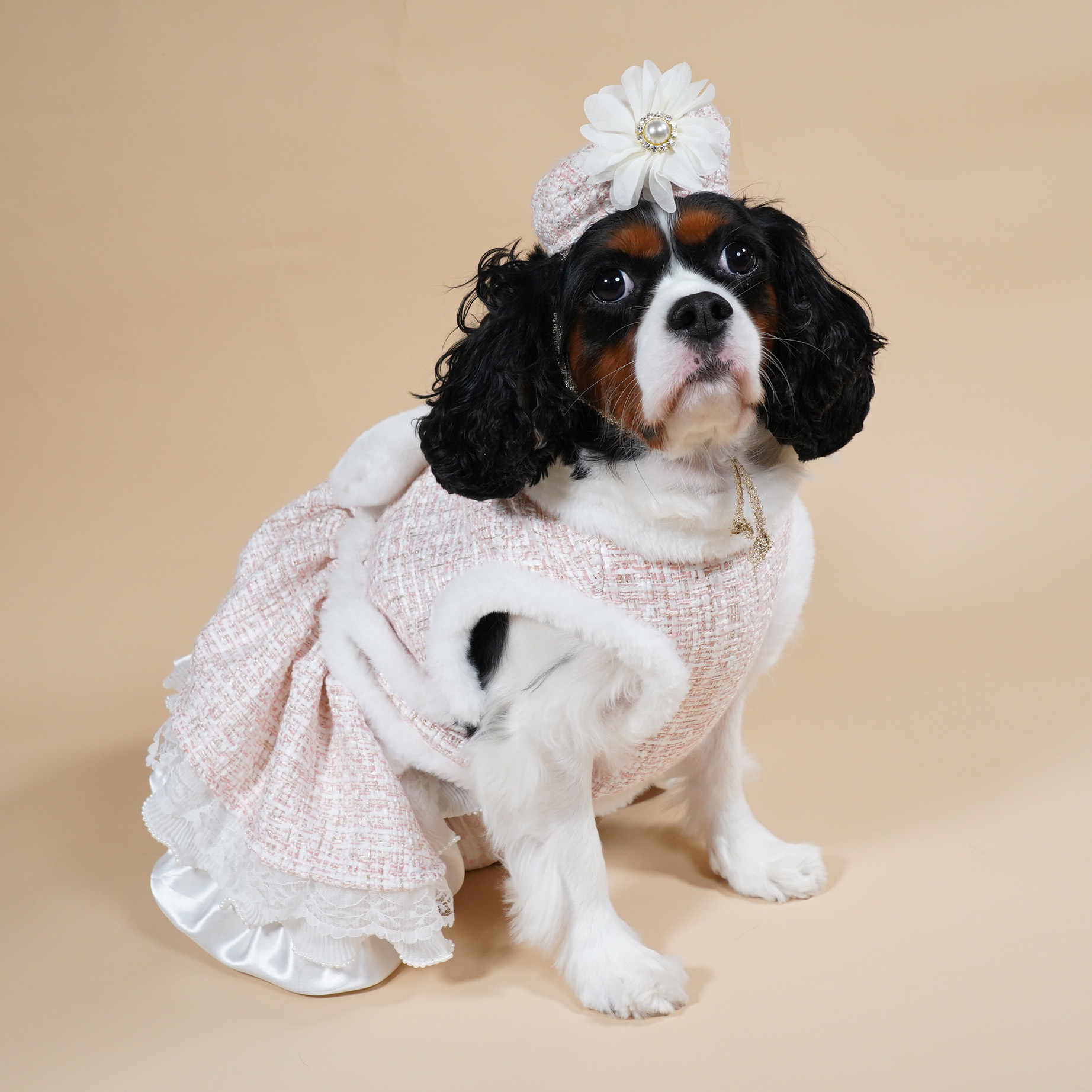 *Wholesale Only* Charming Tweed Dress with Lady Hat