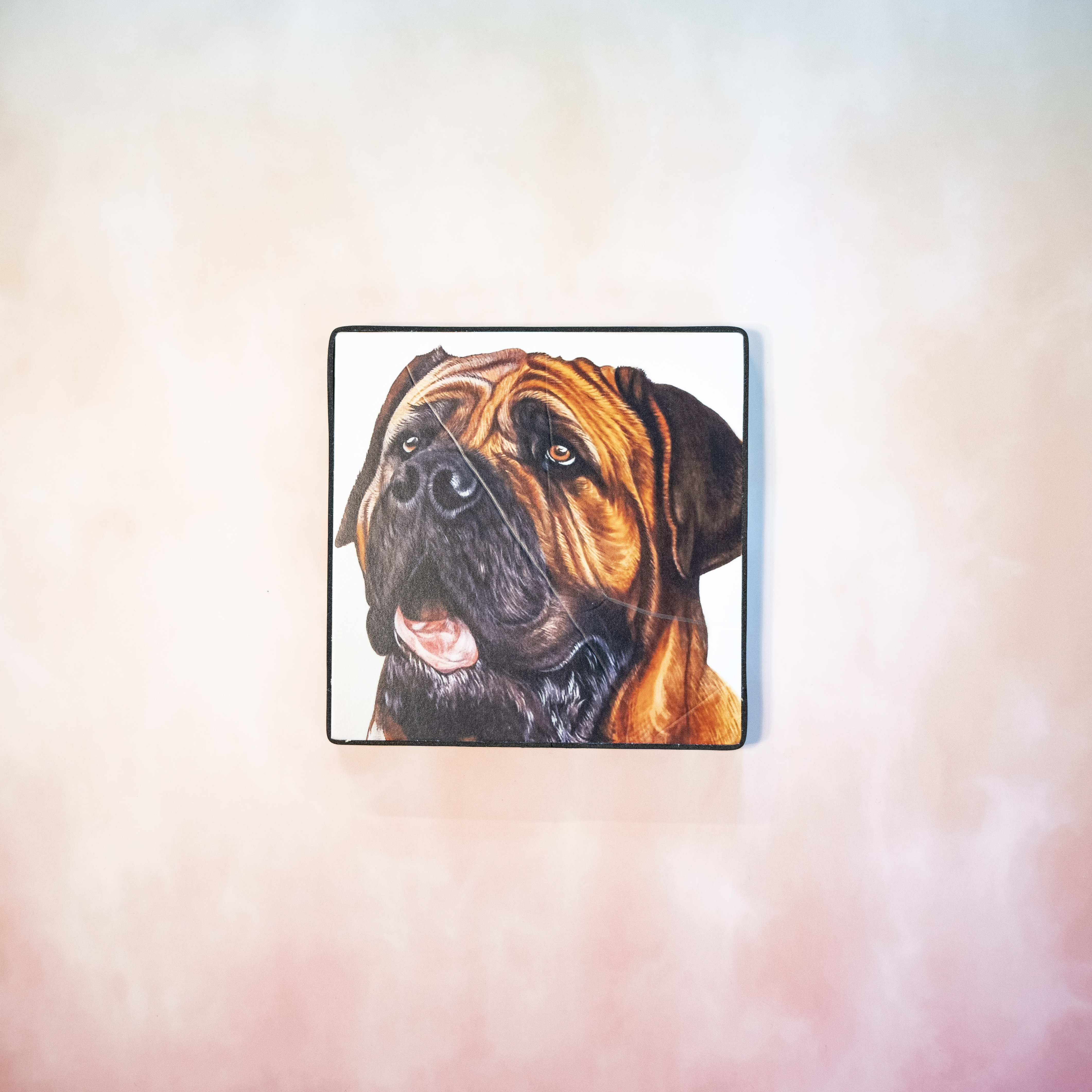 Moon_Sir「寵物格格油畫」- 南非獒犬