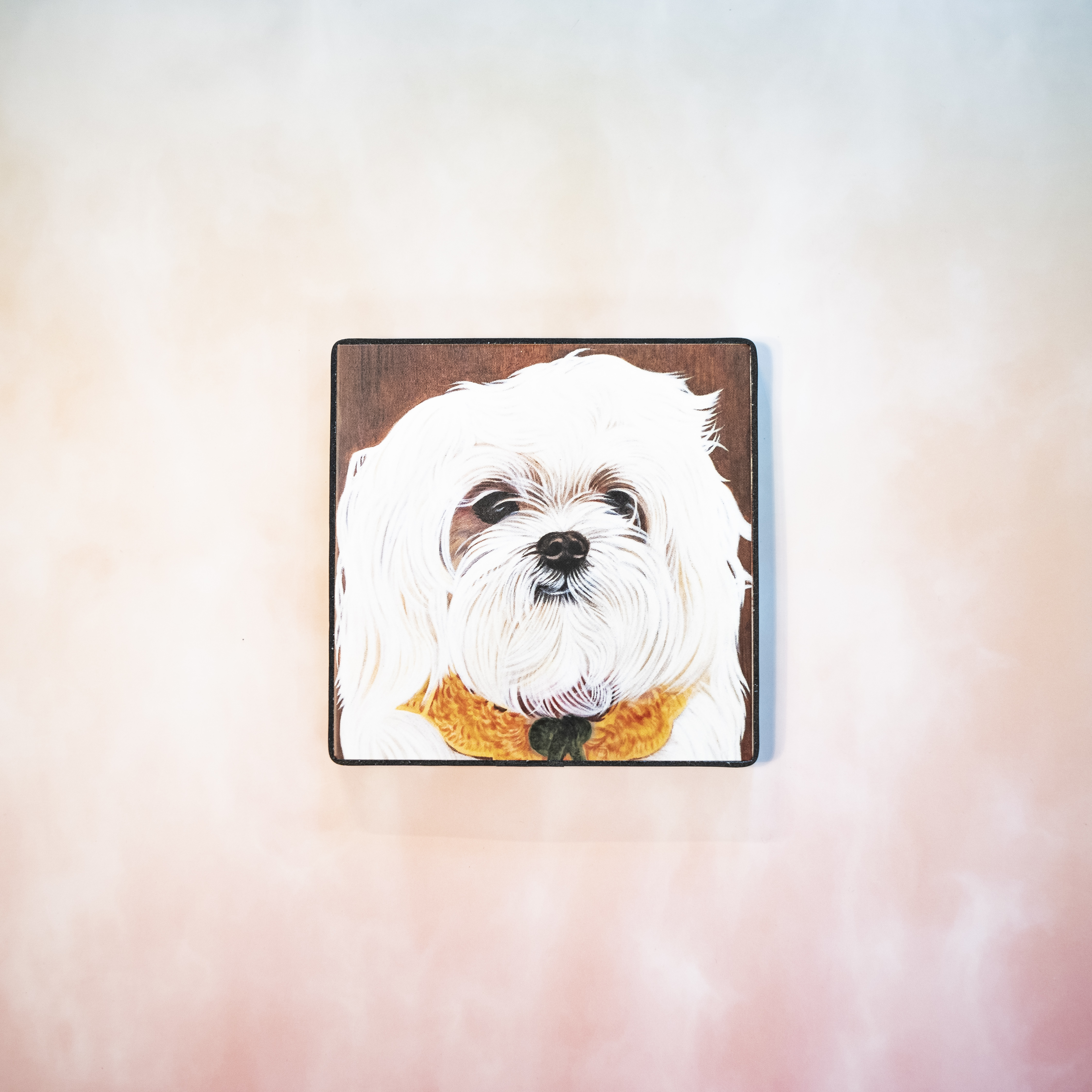 Moon_Sir「寵物格格油畫」- 馬爾濟斯犬