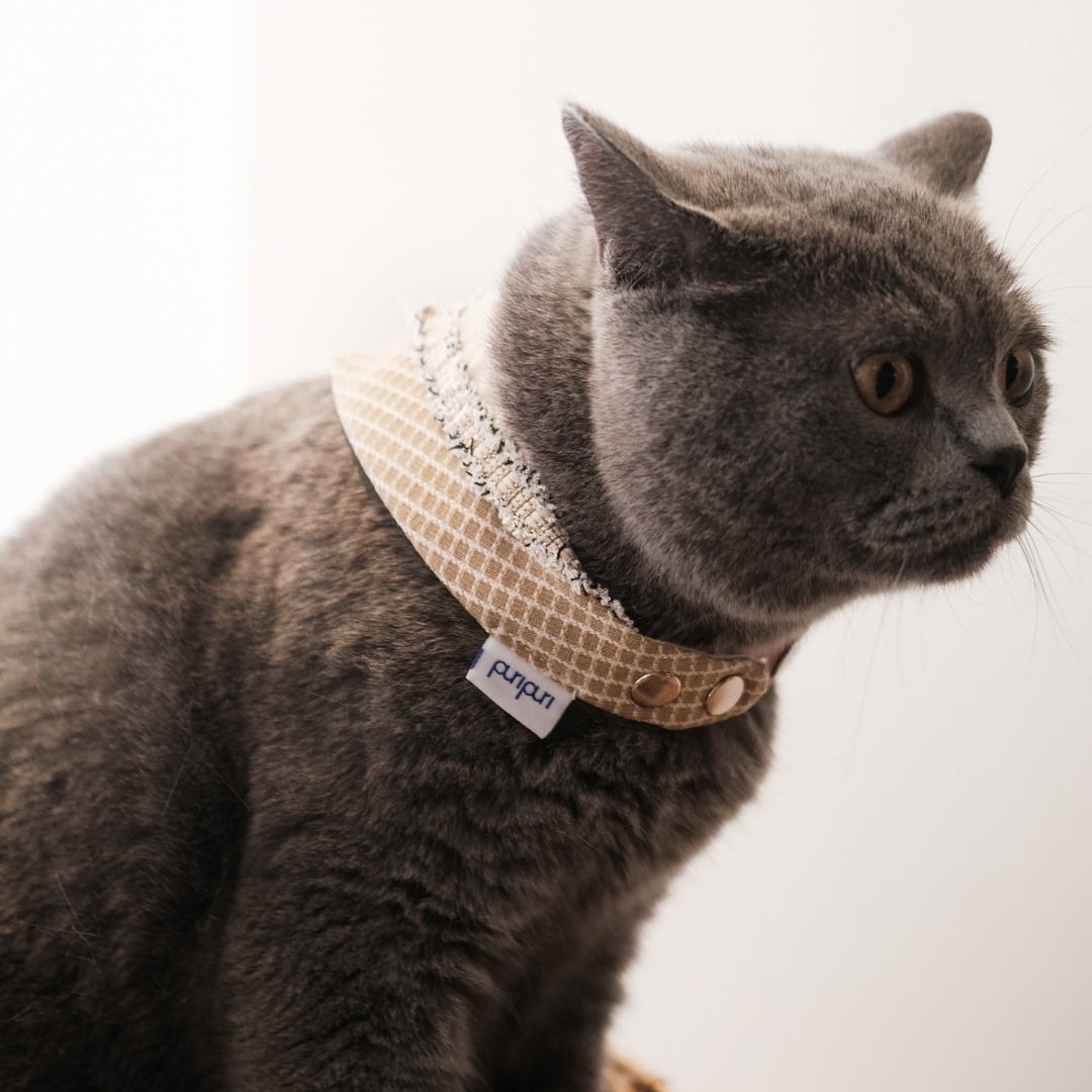 PuriPuri® 寵物領巾 - 比利時鬆餅