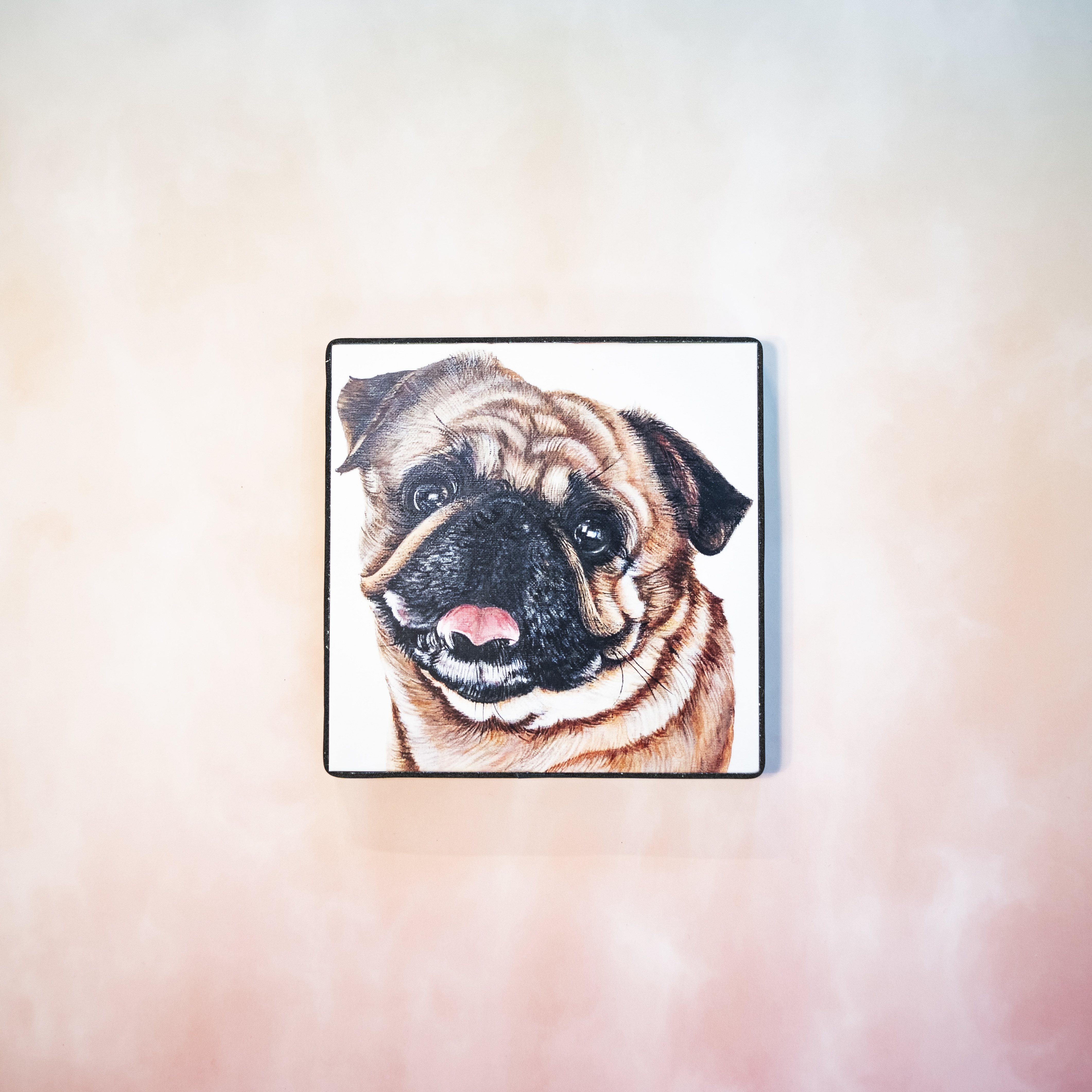 Moon_Sir「寵物格格油畫」- 八哥犬