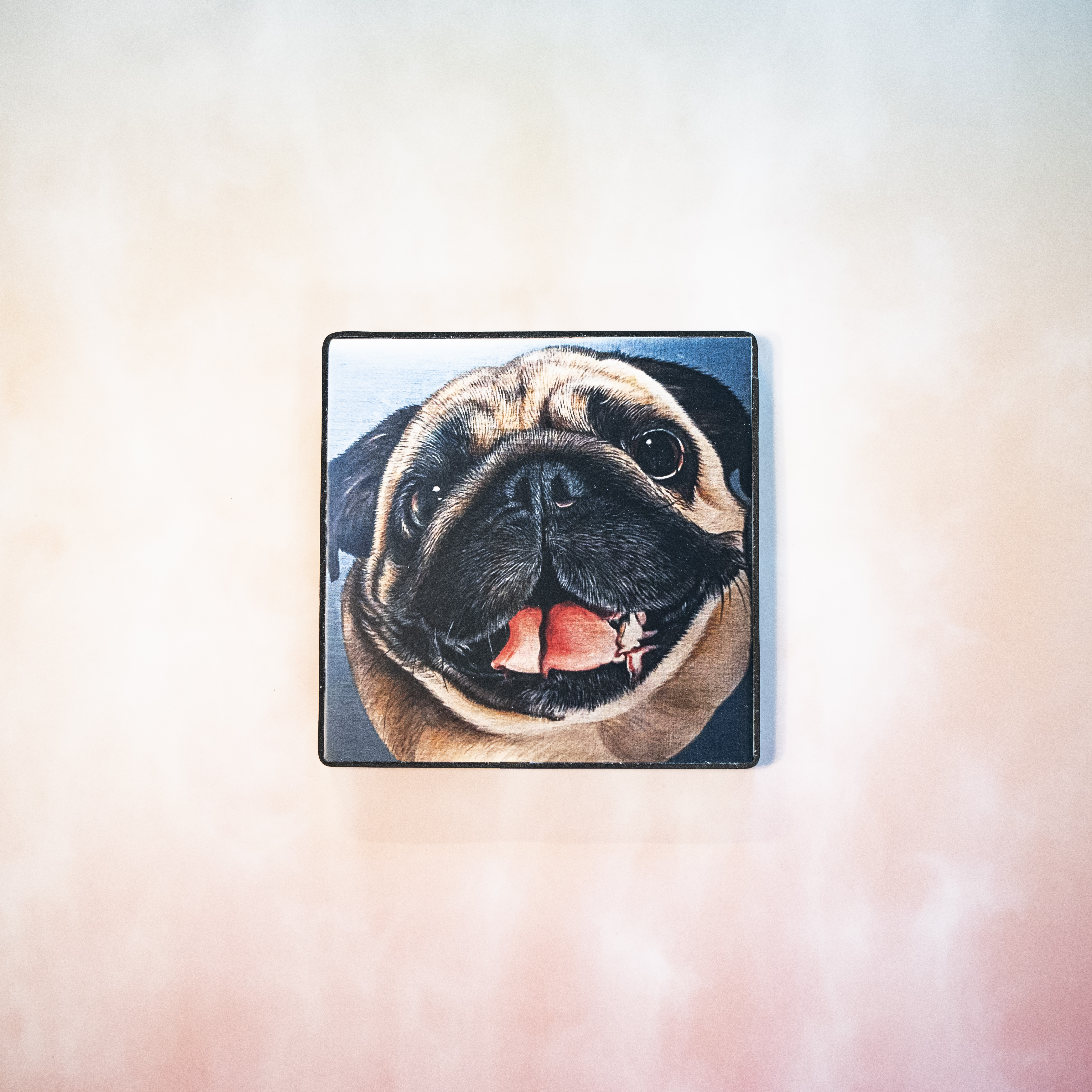 Moon_Sir「寵物格格油畫」- 八哥犬