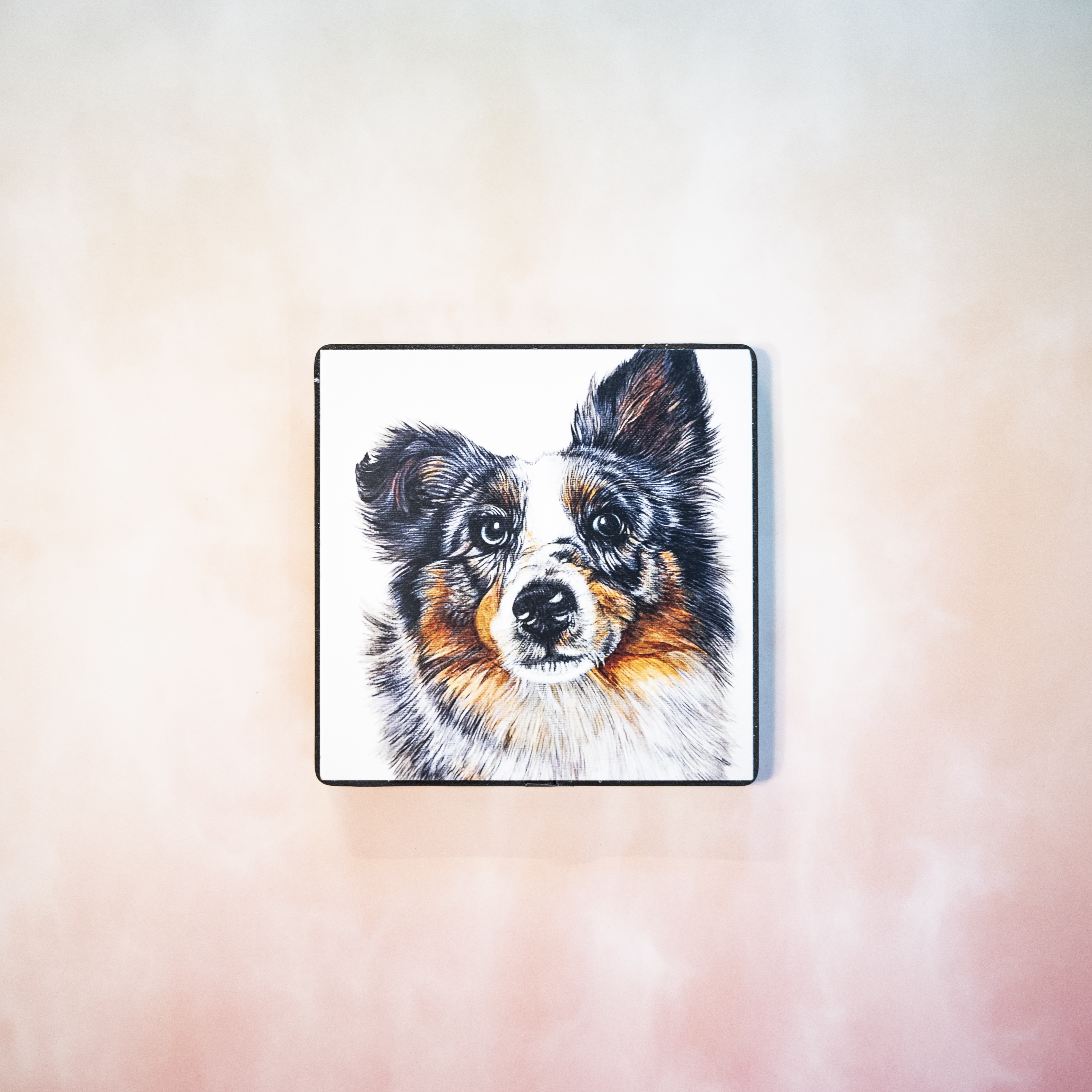 Moon_Sir「寵物格格油畫」- 澳洲牧羊犬