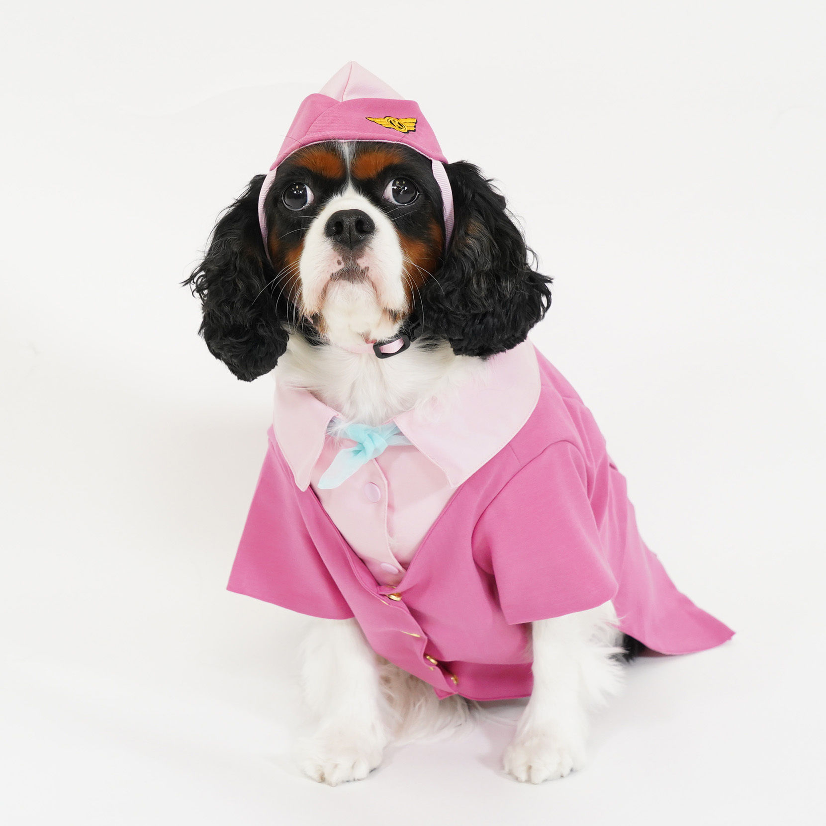 Stewardess Suit With Hat