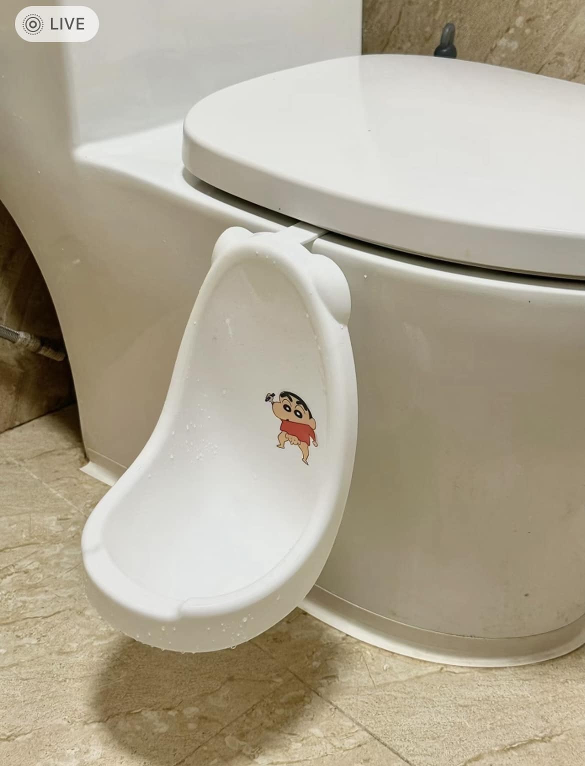 learning how to bathroom