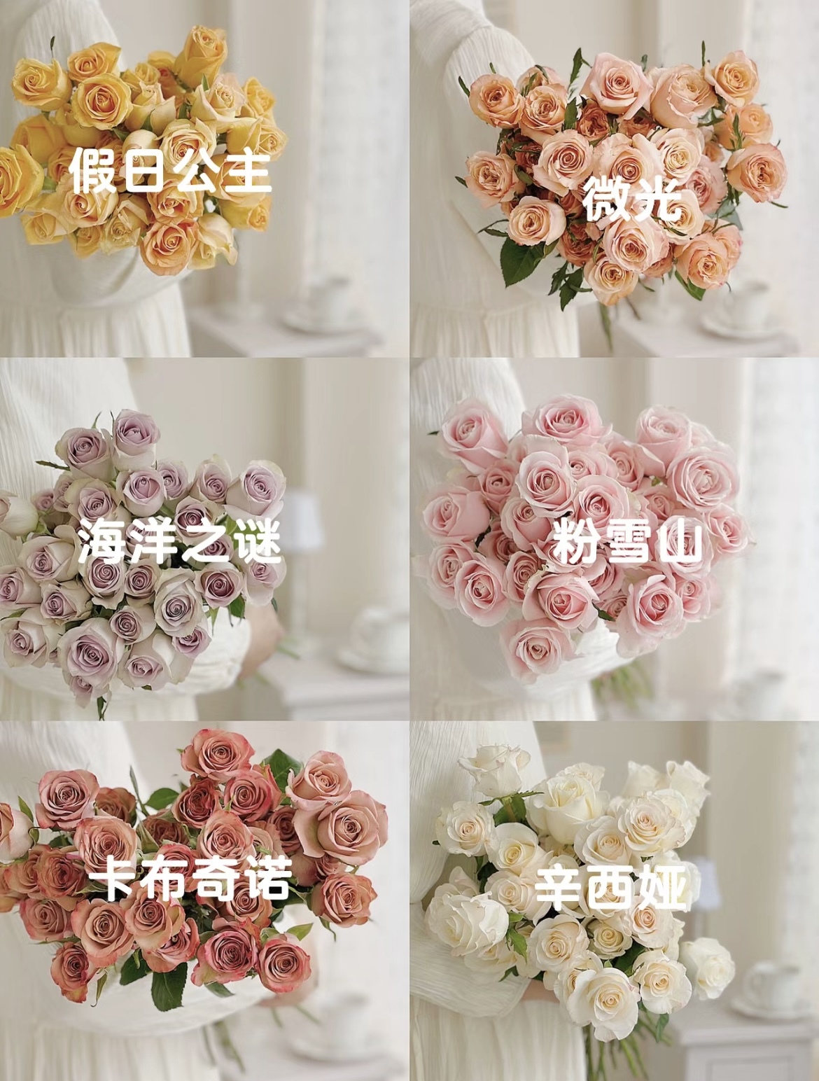 典雅包裝玫瑰花束 /進口鮮花玫瑰