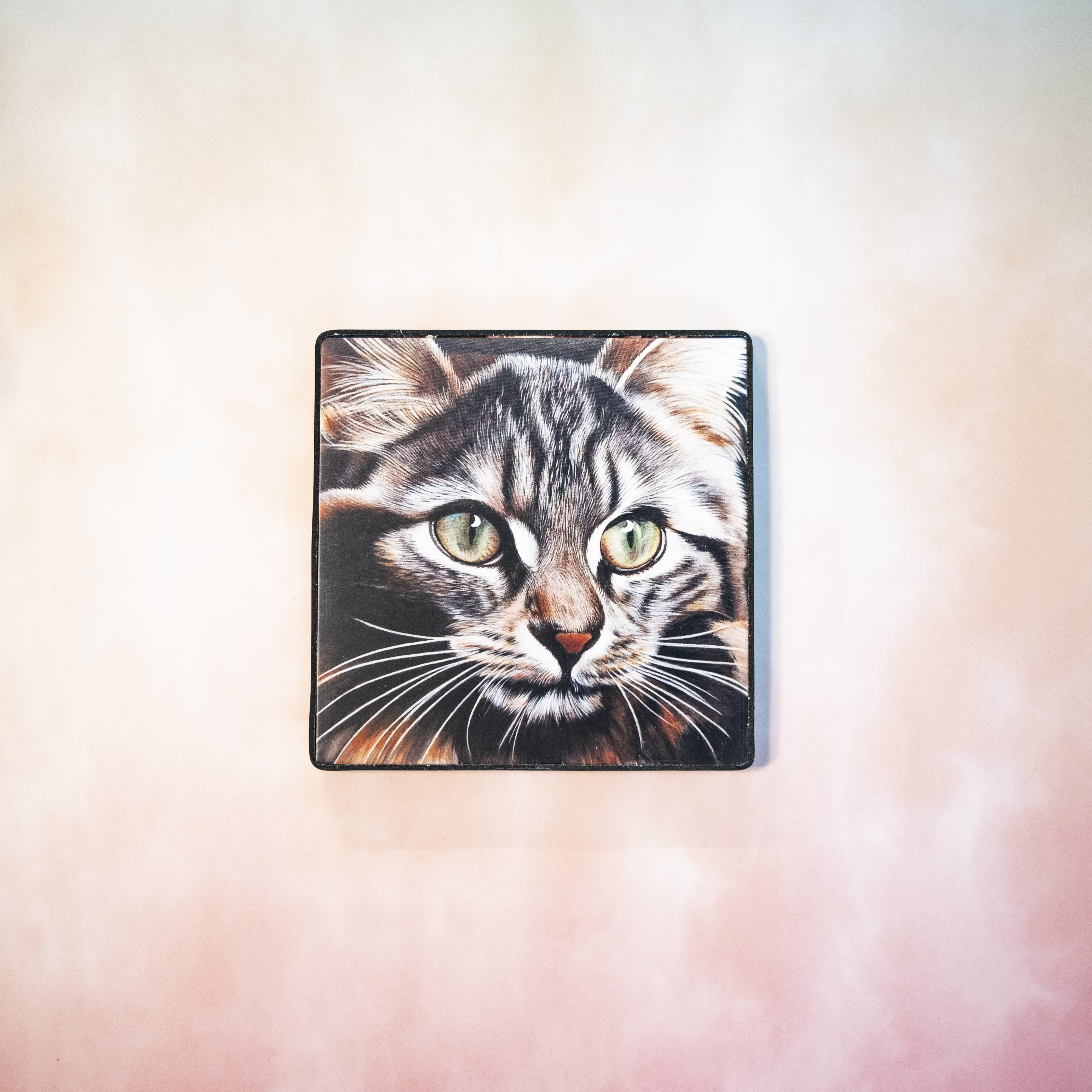 Moon_Sir「寵物格格油畫」- 威尔斯猫