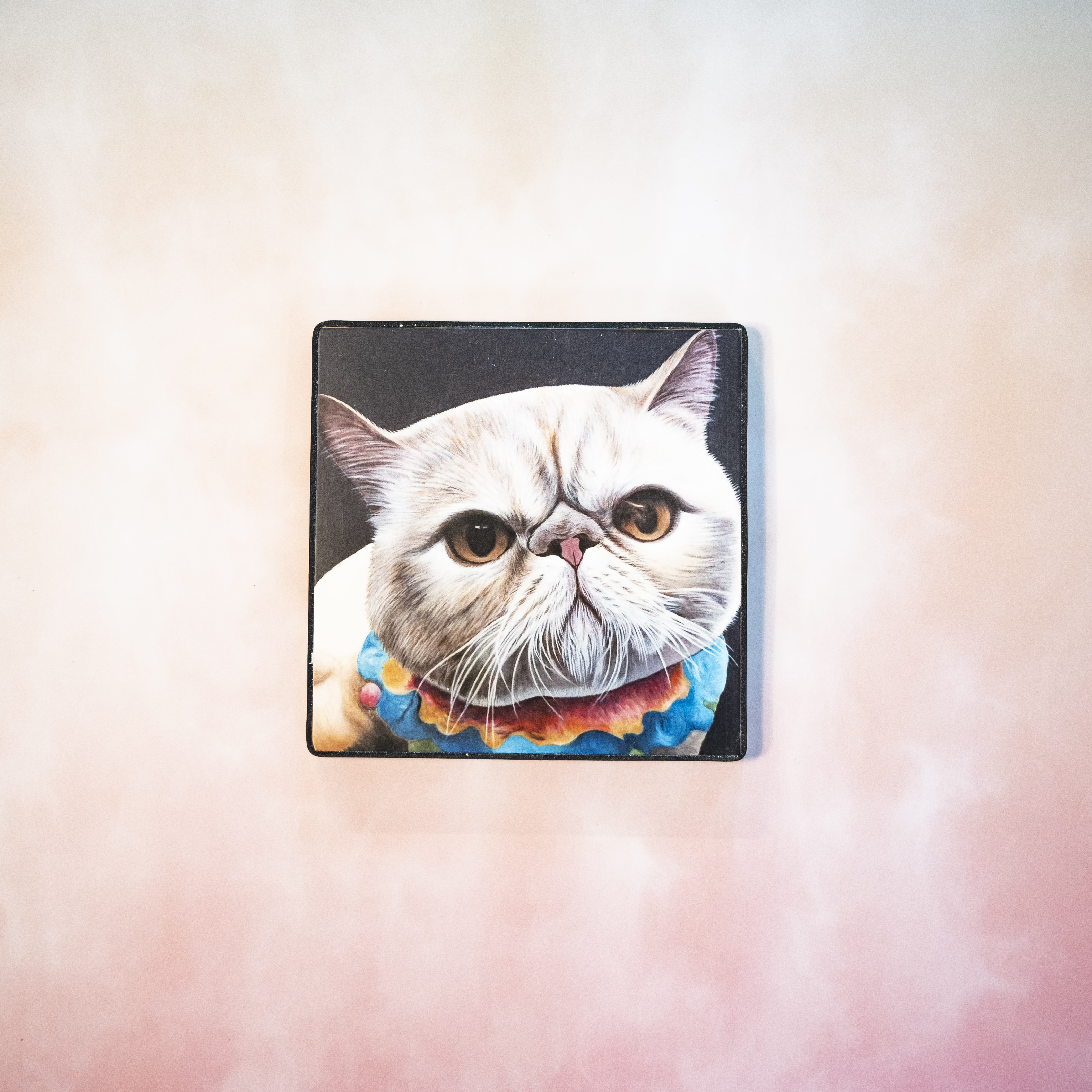 Moon_Sir「寵物格格油畫」- 異國短毛貓