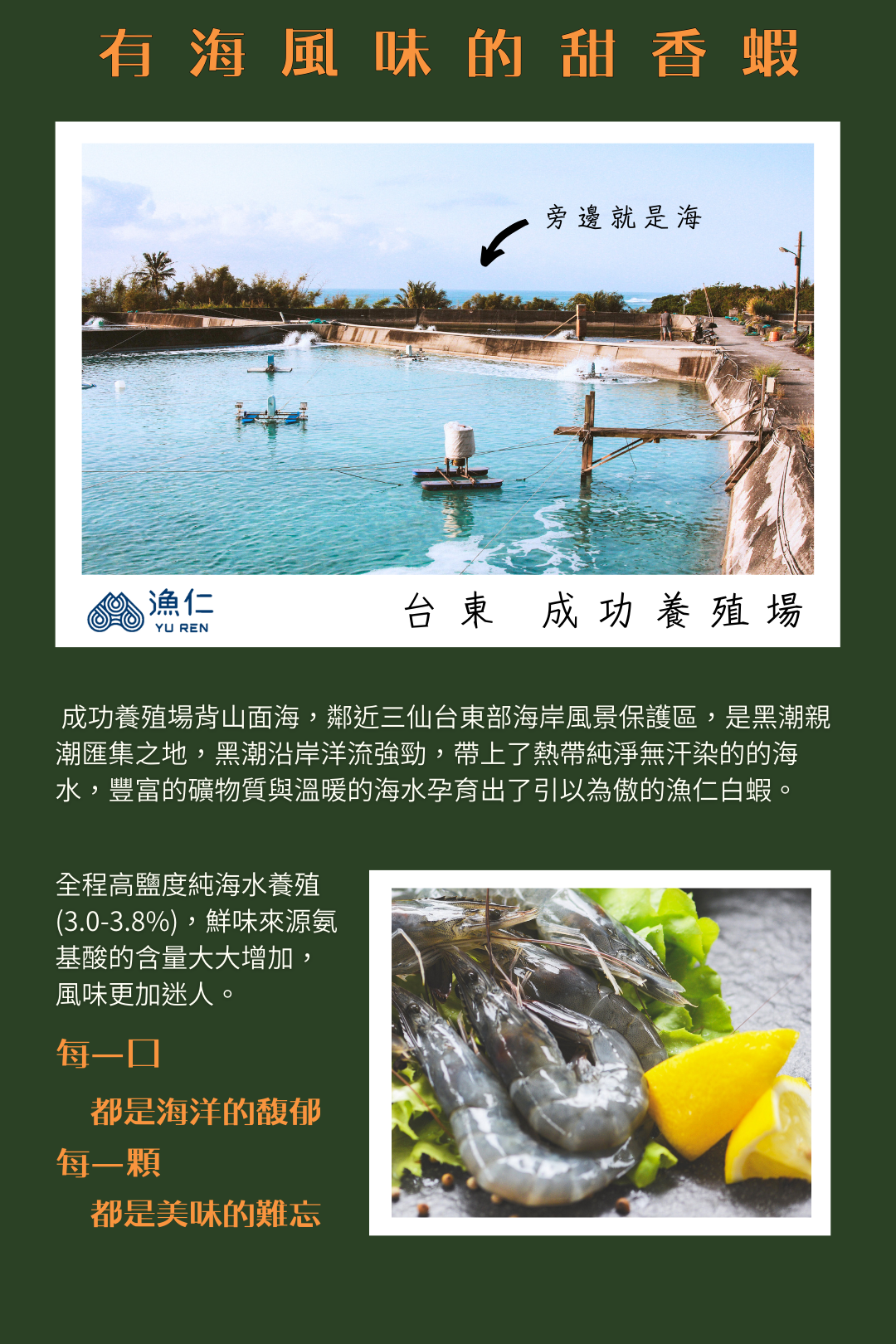 鮮蝦水餃的天花板,最頂級的原料給您最頂的鮮味