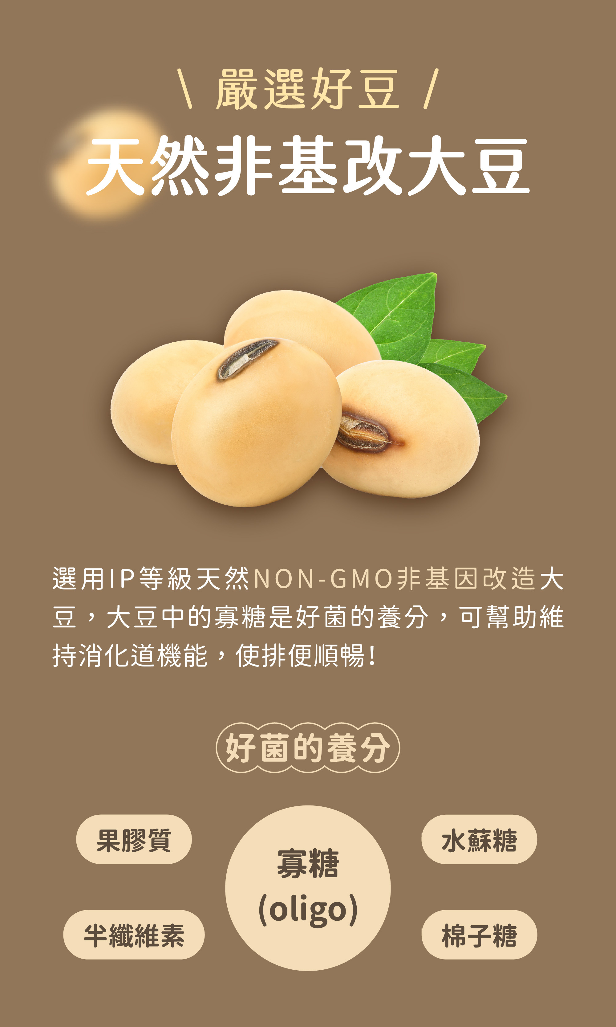 美天美點客製化保健食品選用天然非基改大豆原料製成的守衛酵素錠