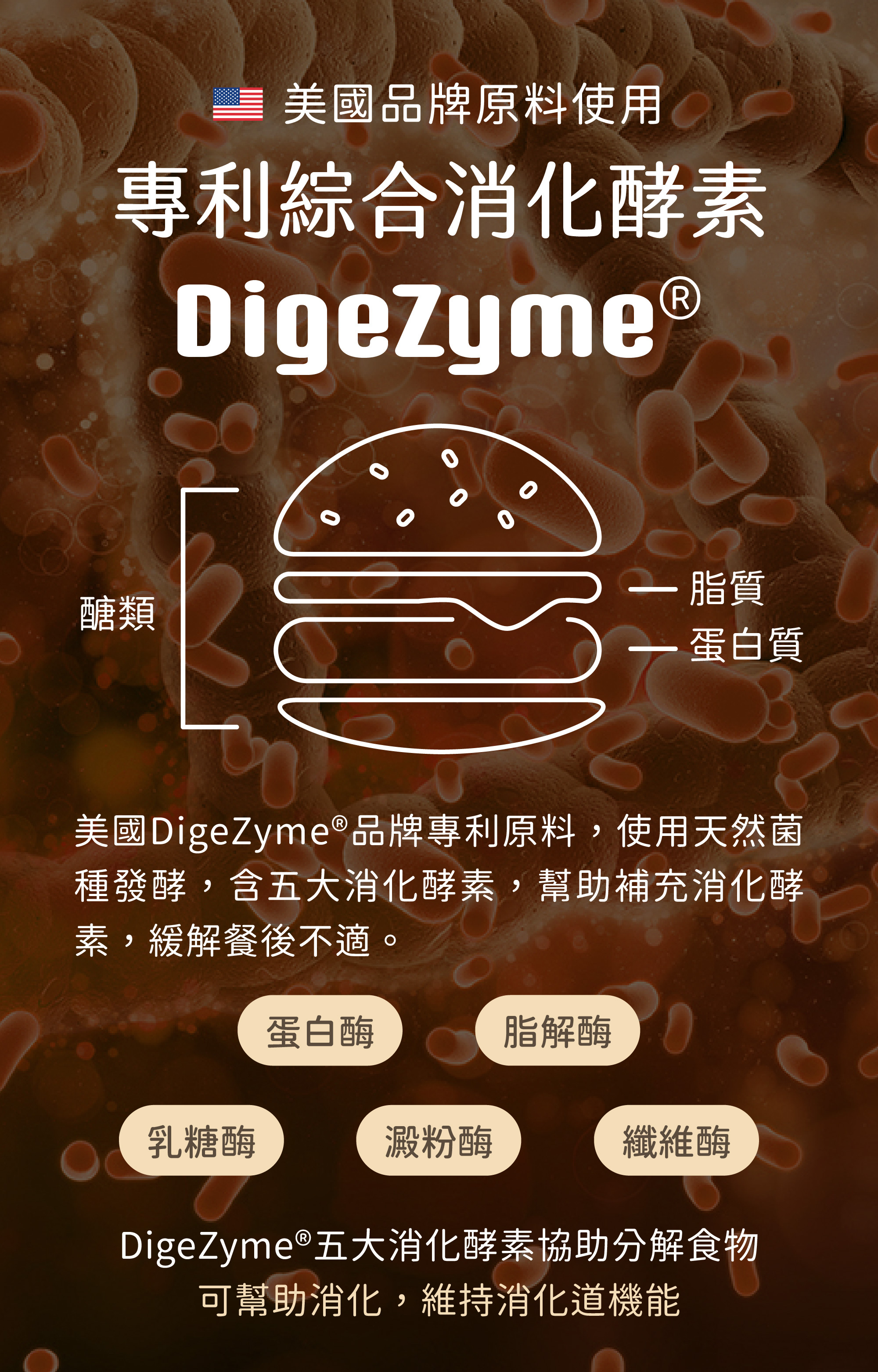 另外搭配了美國專利原料綜合消化酵素，DIGEZYME幫助消化以及食物分解，解除脹氣困擾