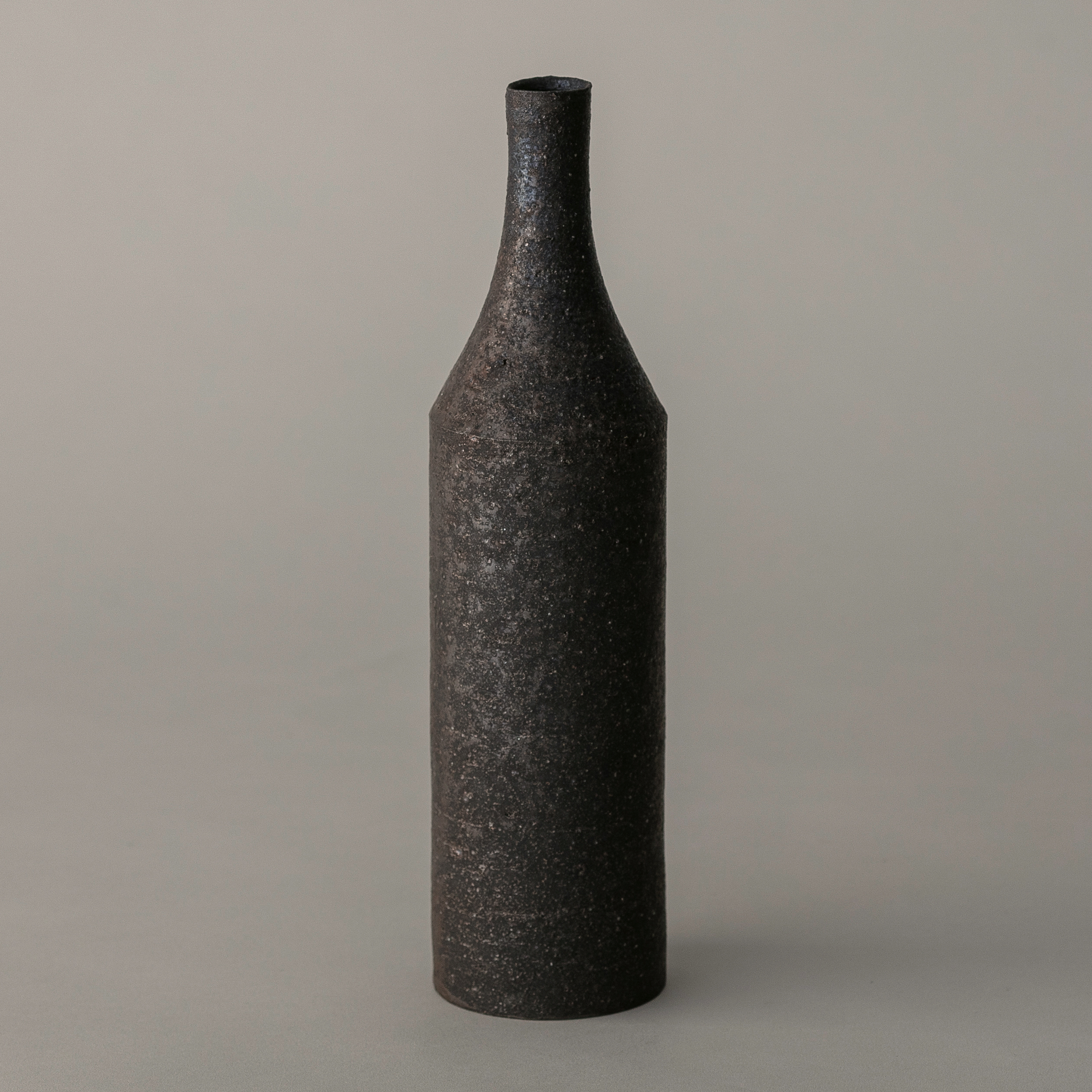 遠藤岳 Takashi Endo 水瓶