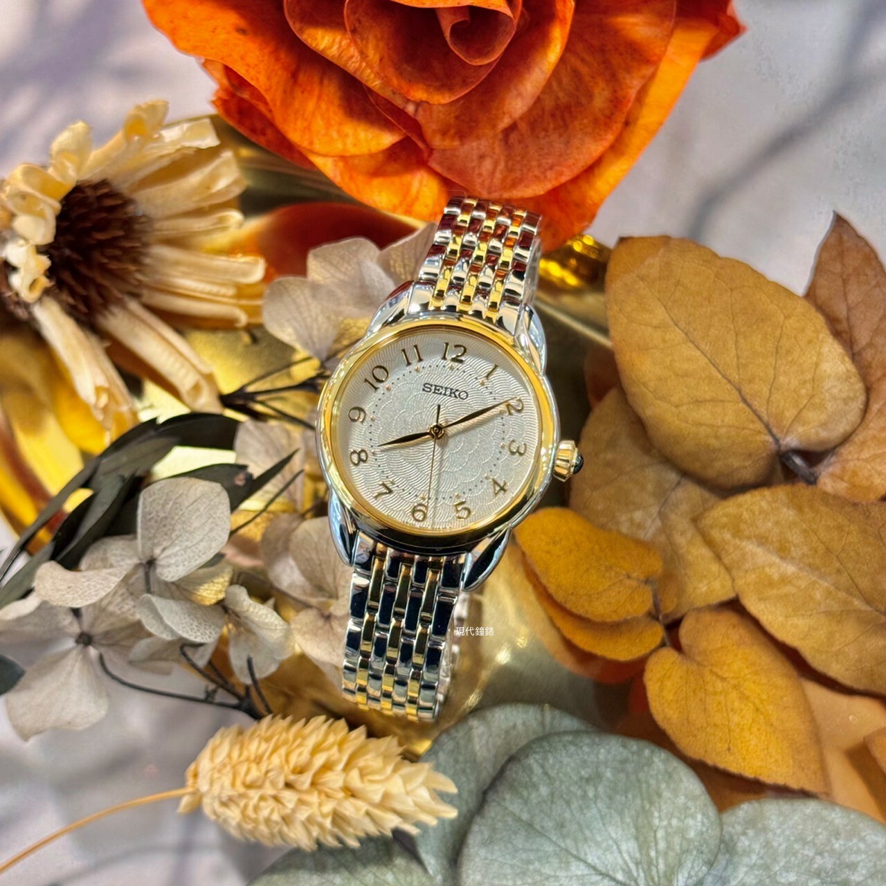 【SEIKO 精工】CS 城市簡約女錶 6N01-00P0KS 28.7mm 現代鐘錶