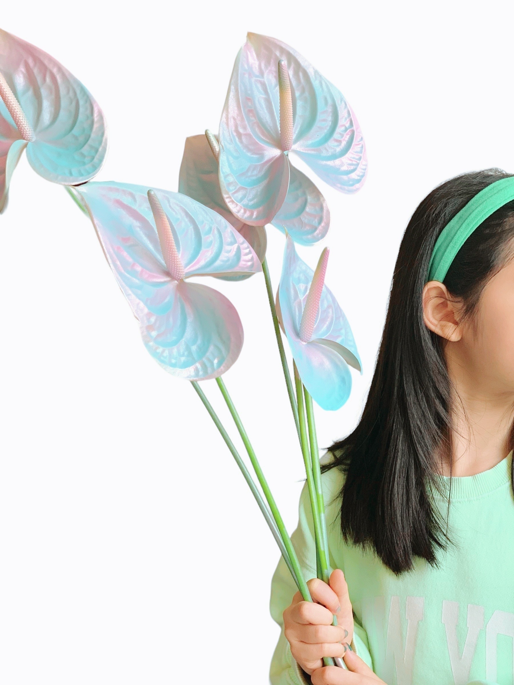 Anthurium, Fresh Cut, Painted, Bubblegum 70-80cm (12 Stems/Box)