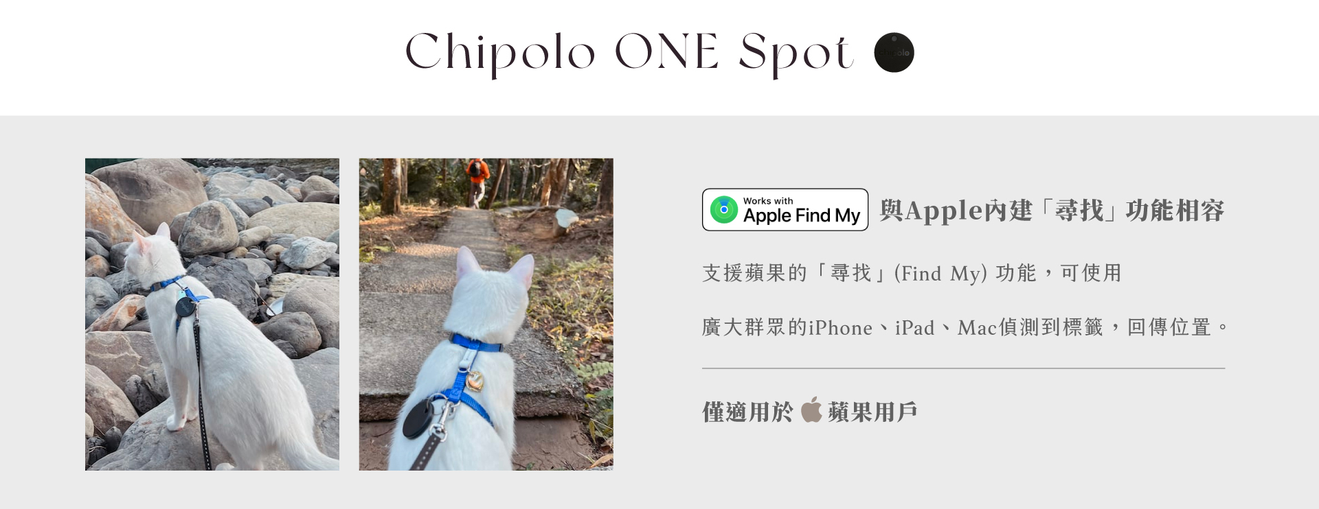 Chipolo One Spot