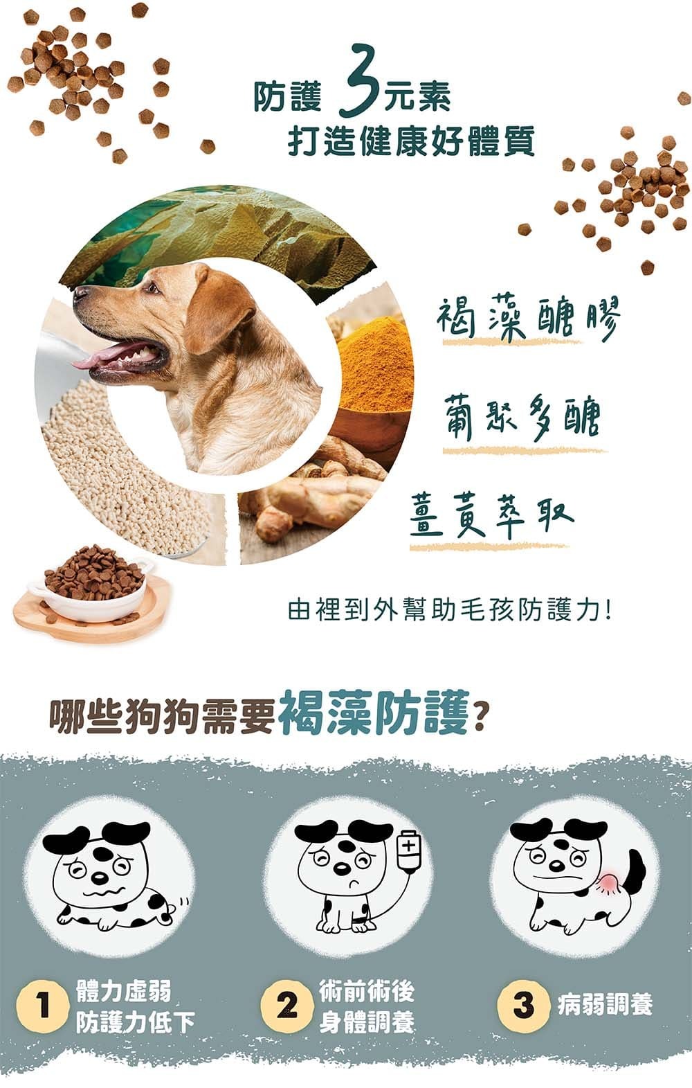 褐藻醣膠、葡聚多醣、薑黃萃取，從裡到外穩固保護力，腫瘤照護、術前術後、身體虛弱
