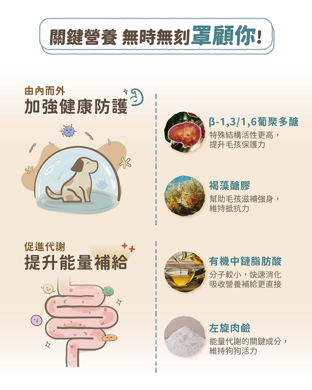 褐藻醣膠、葡聚多醣、薑黃萃取,從裡到外穩固保護力,腫瘤照護、術前術後、身體虛弱