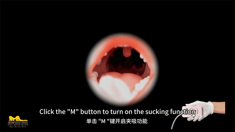 Real lady|全矽膠娃娃|加購配件