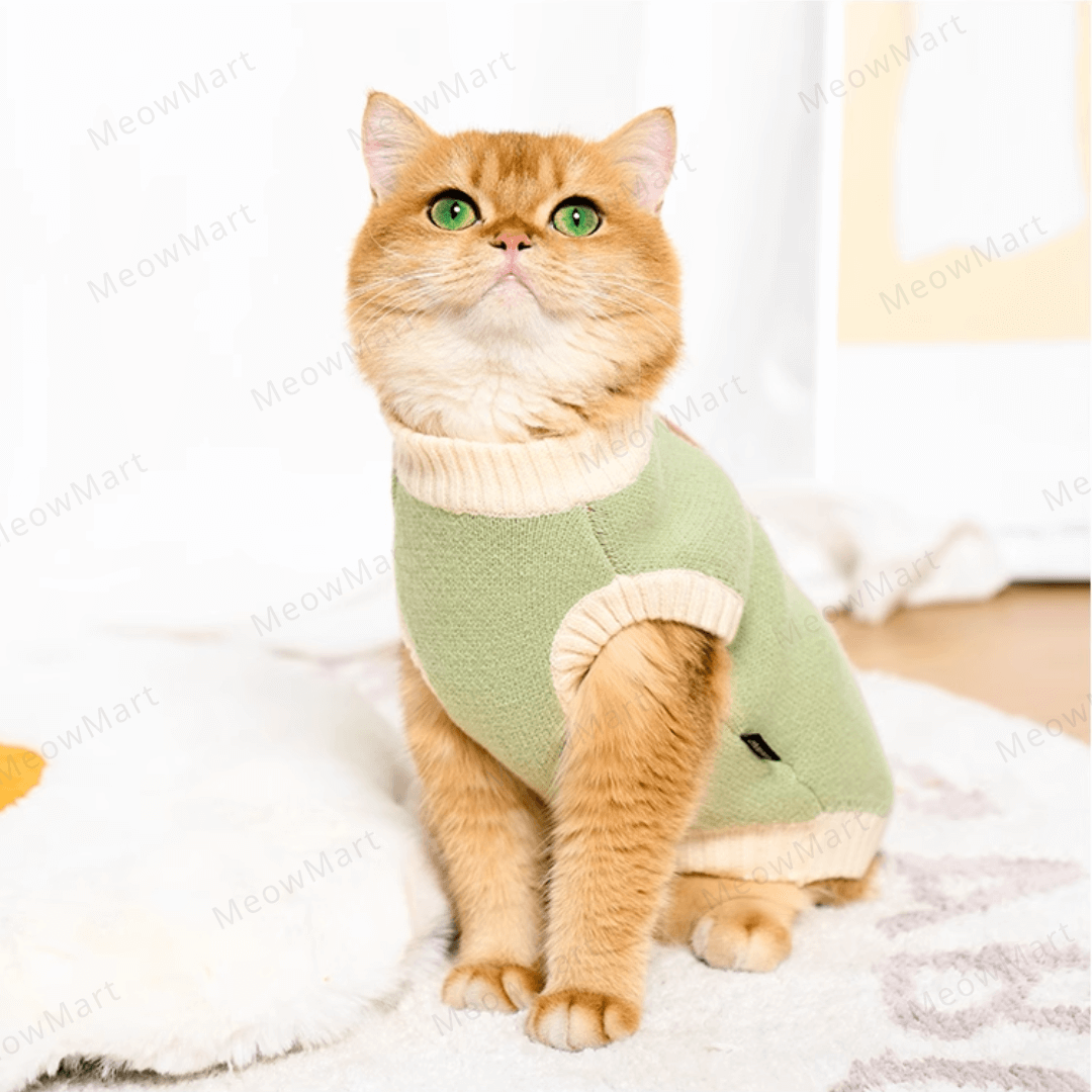 可愛小熊保暖寵物背心 (貓狗適用)