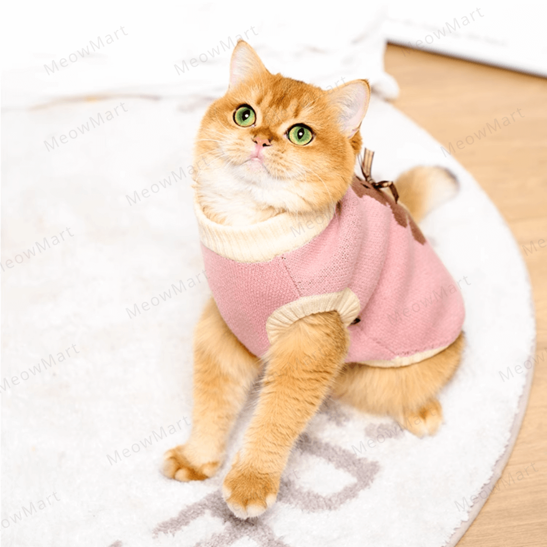 可愛小熊保暖寵物背心 (貓狗適用)