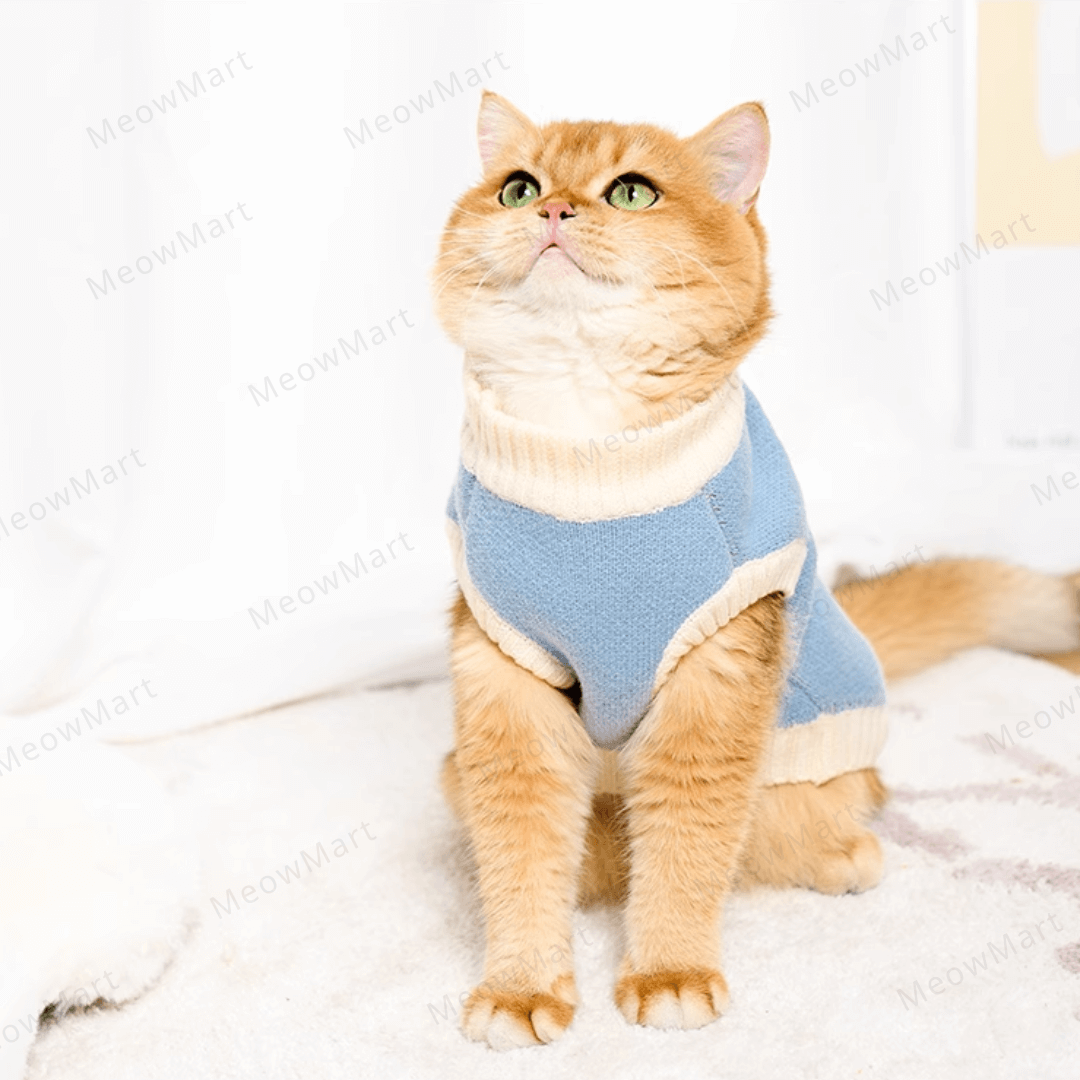 可愛小熊保暖寵物背心 (貓狗適用)