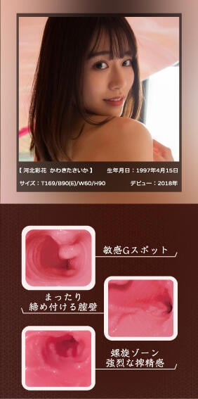 Papakey 美腔系列 河北彩花名器