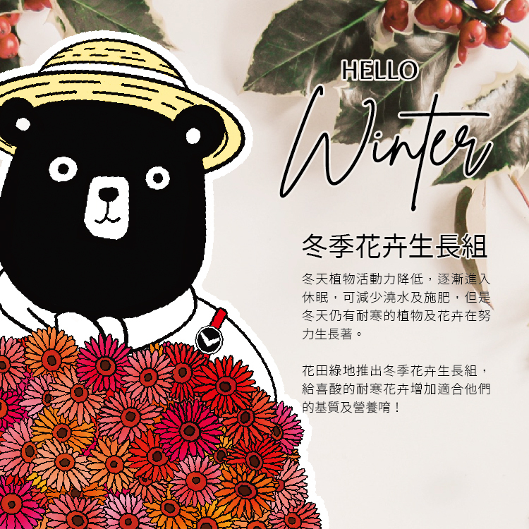 {冬} 冬季花卉生長組
