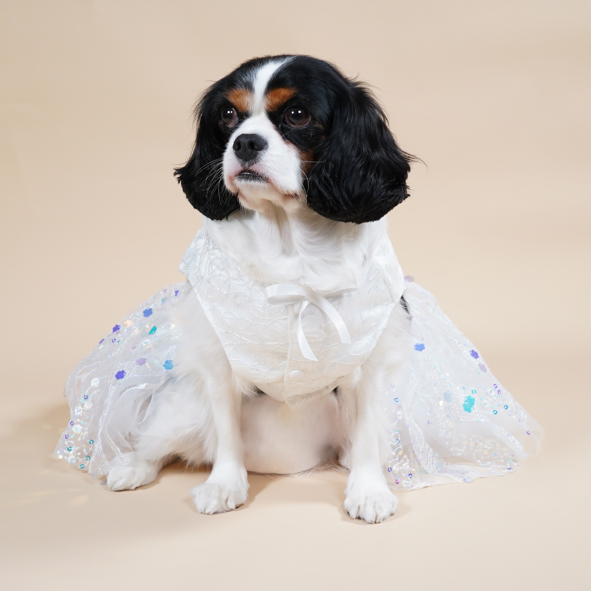 Little Pearl in Flower Wedding Dress