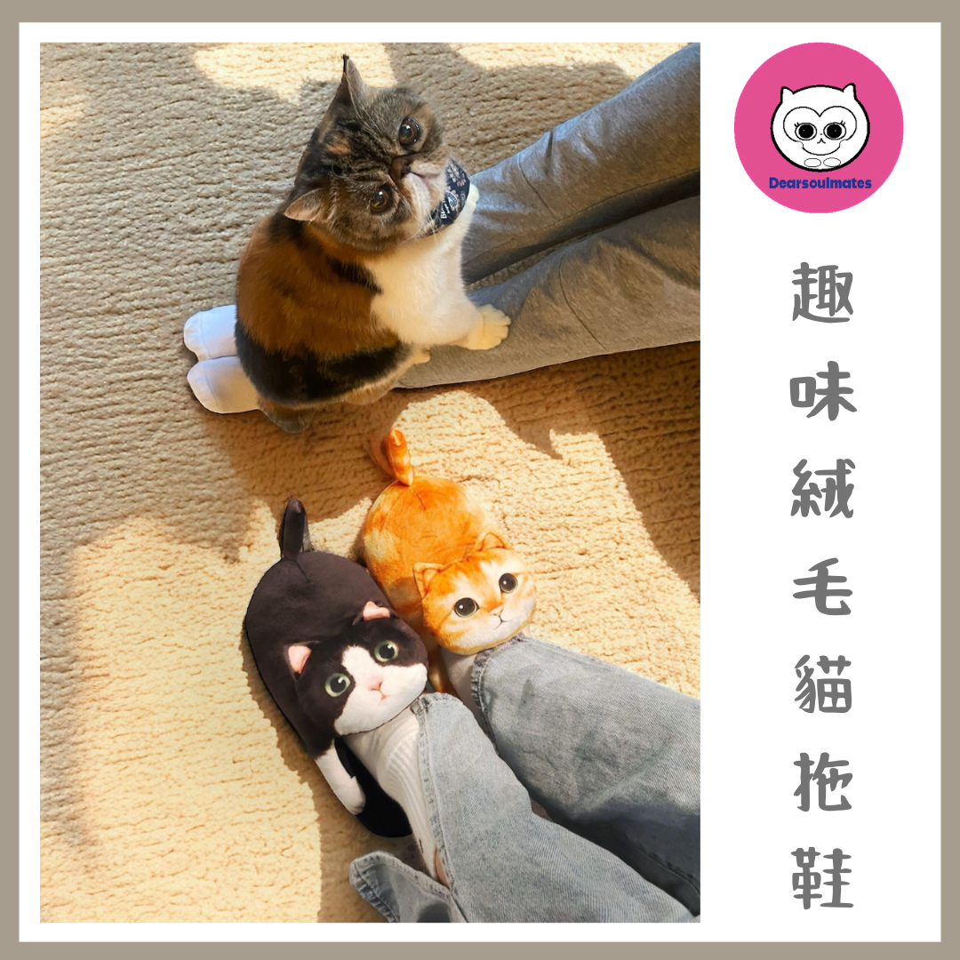 趣味絨毛貓拖鞋 臥室 蓬鬆居家鞋 可愛動物拖鞋 室內和室外 可愛拖鞋 可愛拖鞋 柔軟防滑 貓咪愛好者禮物 【10/19 截單，預計 :10月尾至11月中發貨】】