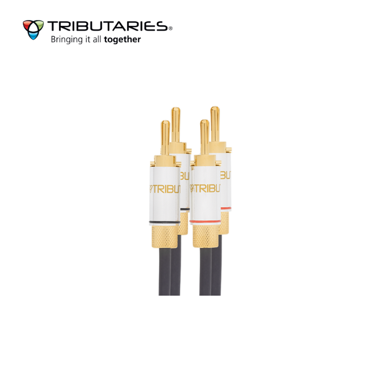 Tributaries 蕉頭 (1粒)