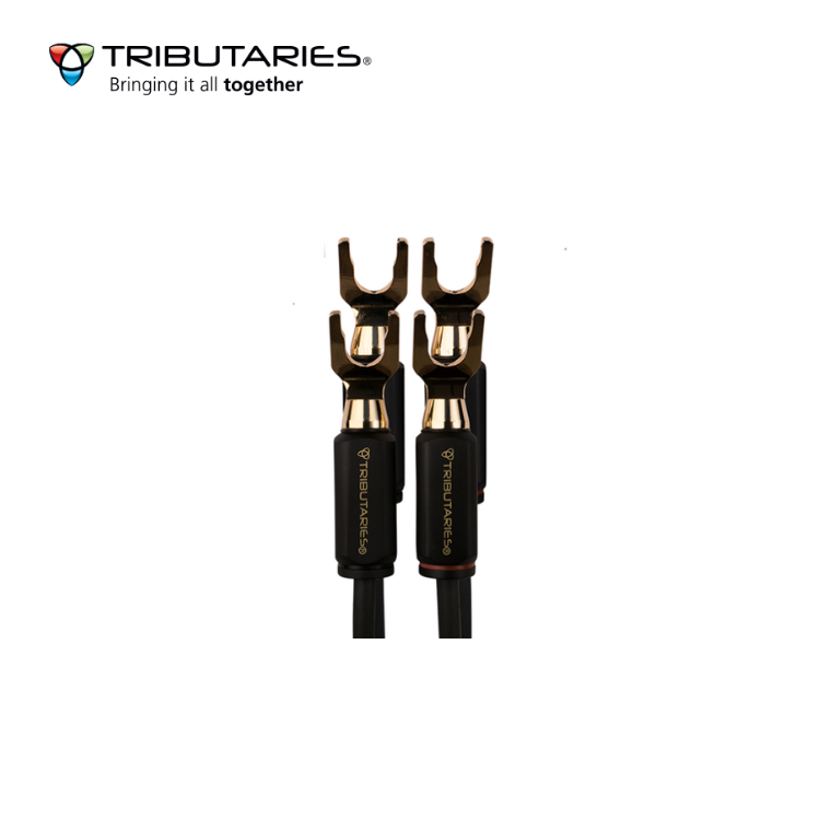 Tributaries 叉頭 (1粒)