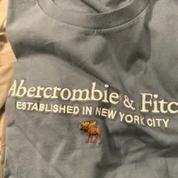 [S] A&F SHORT SLEEVE T-SHIRT,DUSTY BLUE, 175-123-0162-021 (SAF21)