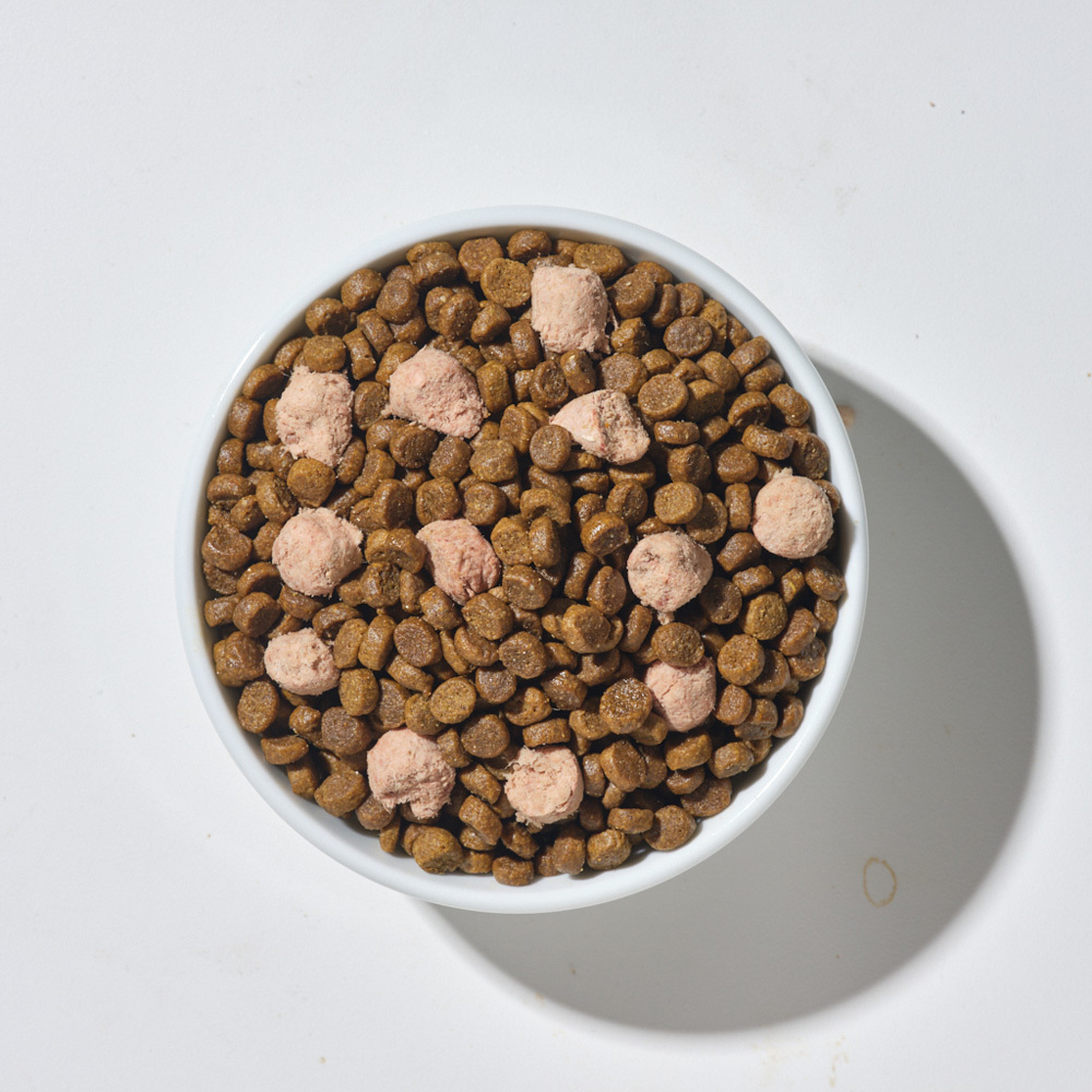 【海外】貓咪主食 | 全口味 天然糧佐凍乾 300克