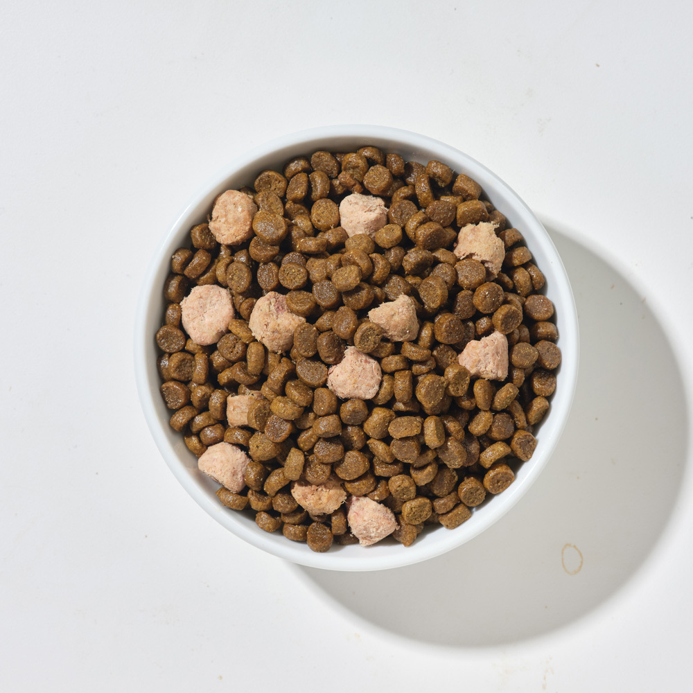 【海外】貓咪主食 | 牛肉雞肉 天然糧佐凍乾2公斤