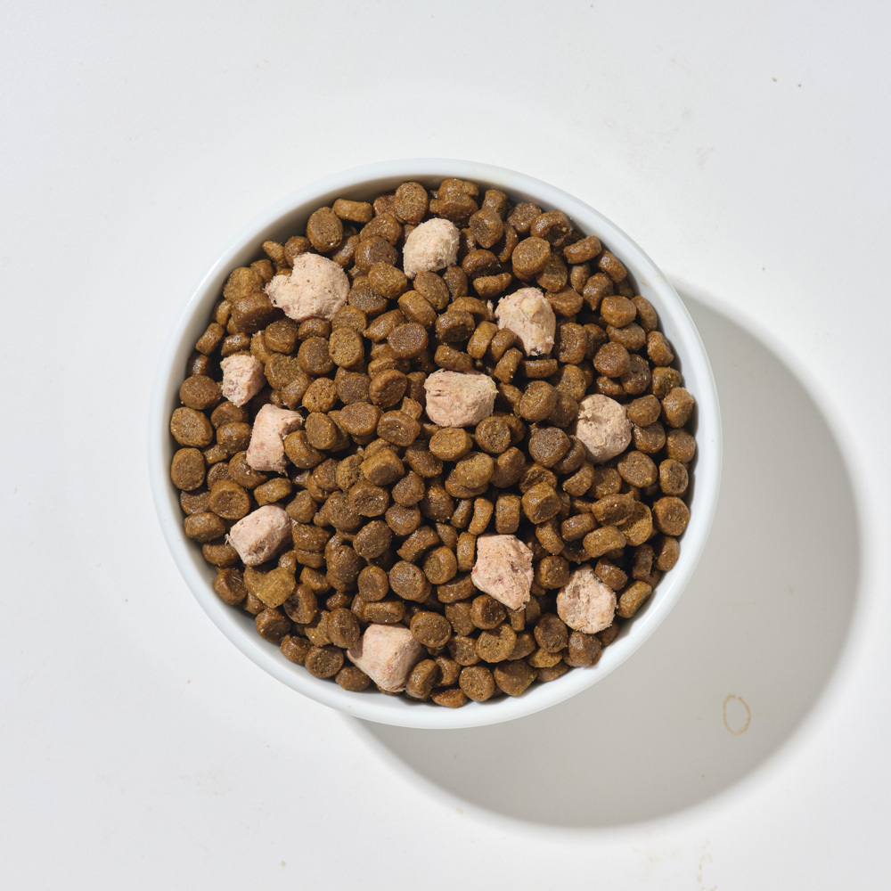 【海外】貓咪主食 | 鹿肉雞肉 天然糧佐凍乾2公斤