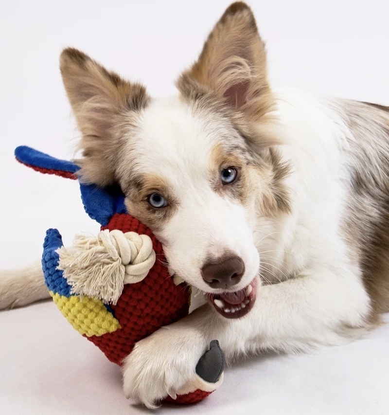 宠物玩具 发声棉绳磨牙玩具