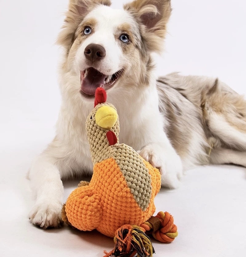 宠物玩具 发声棉绳磨牙玩具