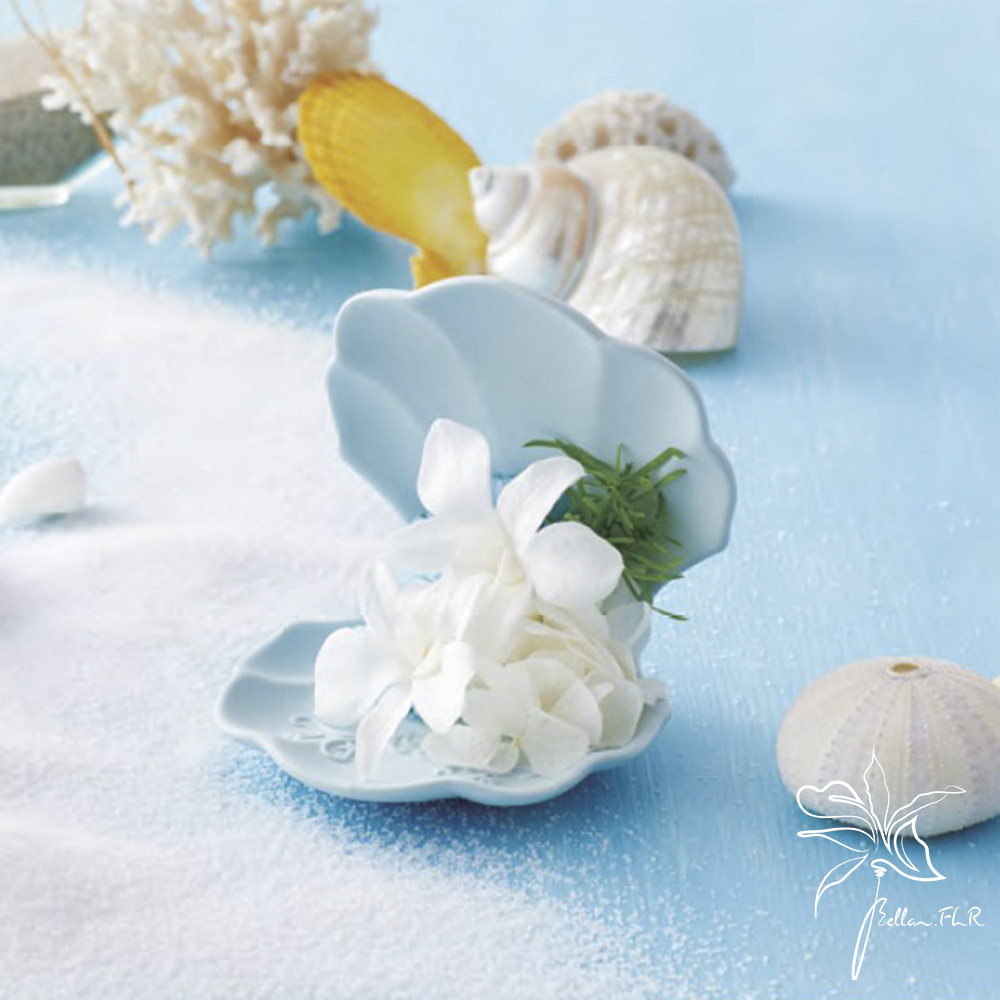 日本CLAY花器 | 雪兒 Shell |