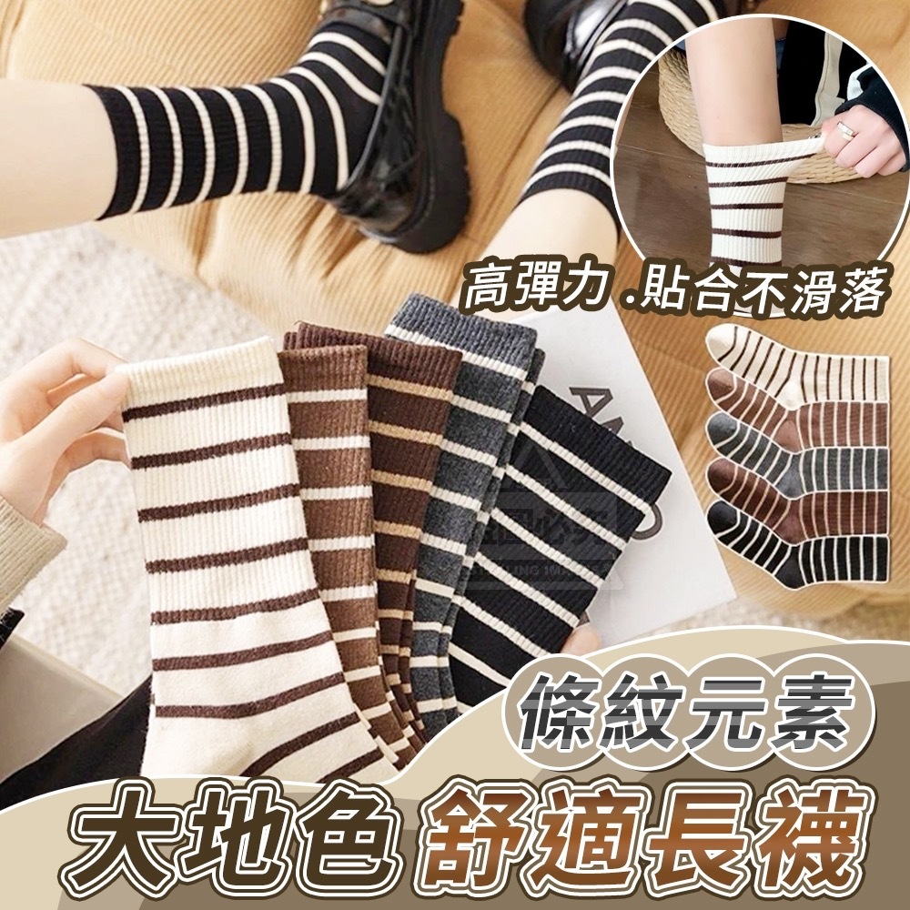 大地色條紋元素舒適長襪 10雙