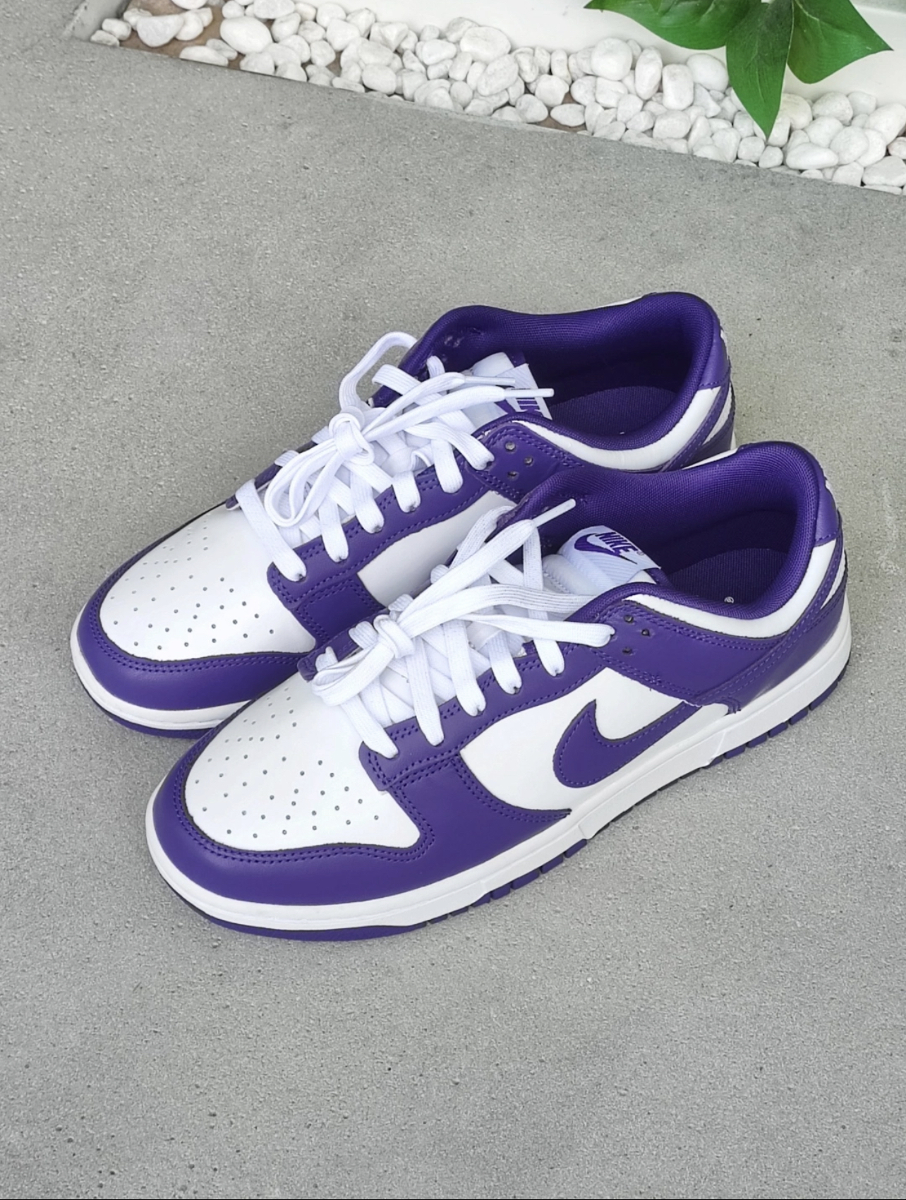 NIKE Dunk Low 紫葡萄 白紫 皮革 男款 DD1391-104/預購