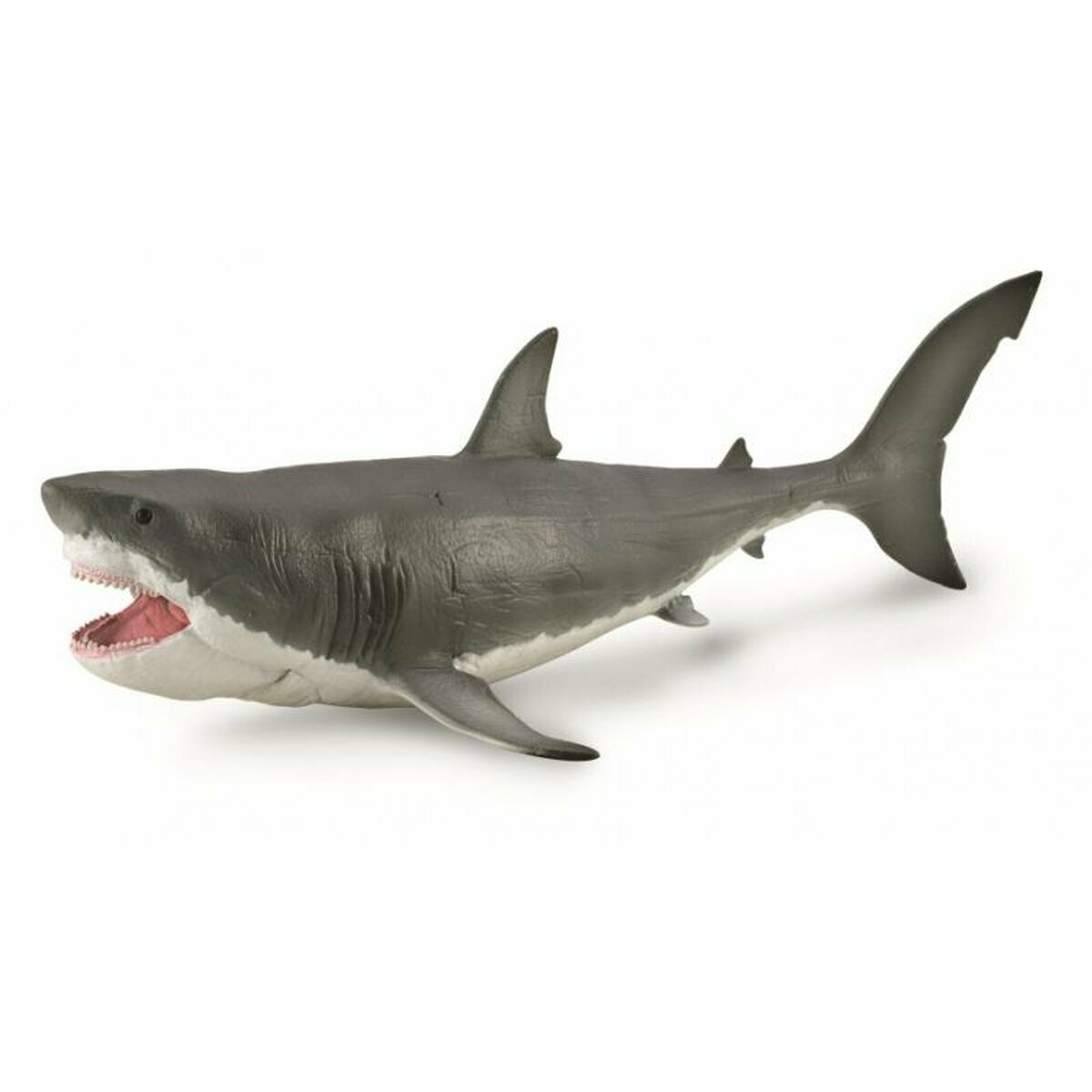 《 COLLECTA 》  巨齒鯊1:40