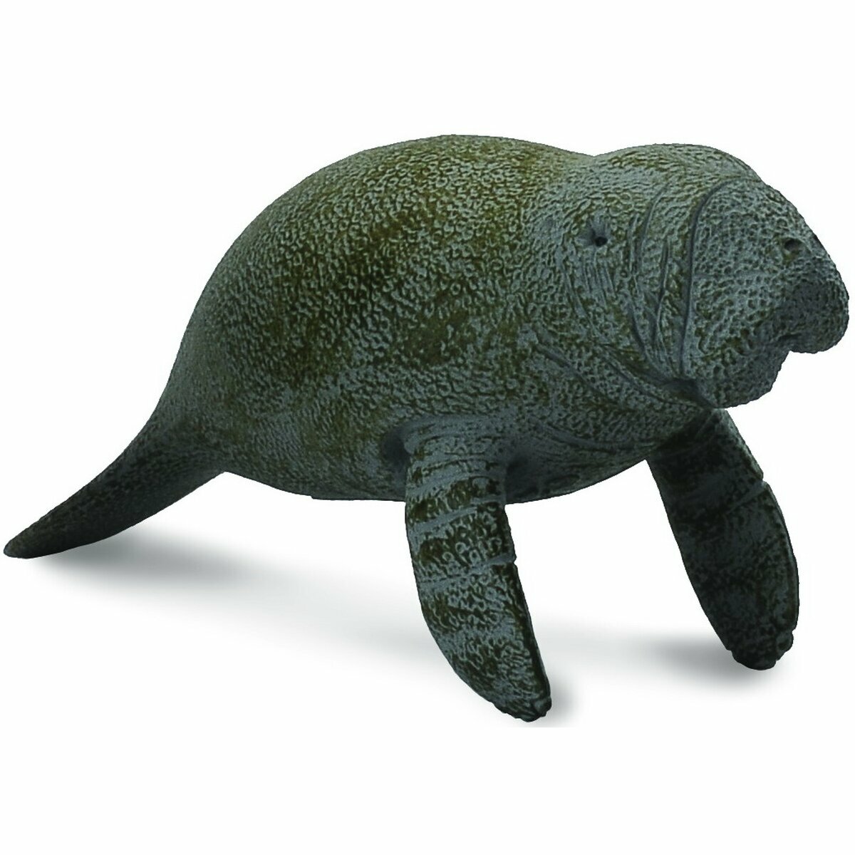 《 COLLECTA 》 小海牛