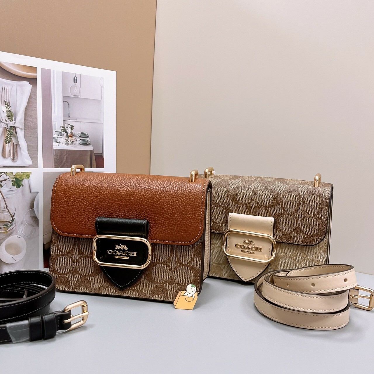 Morgan Square Crossbody In Colorblock Signature Canvas