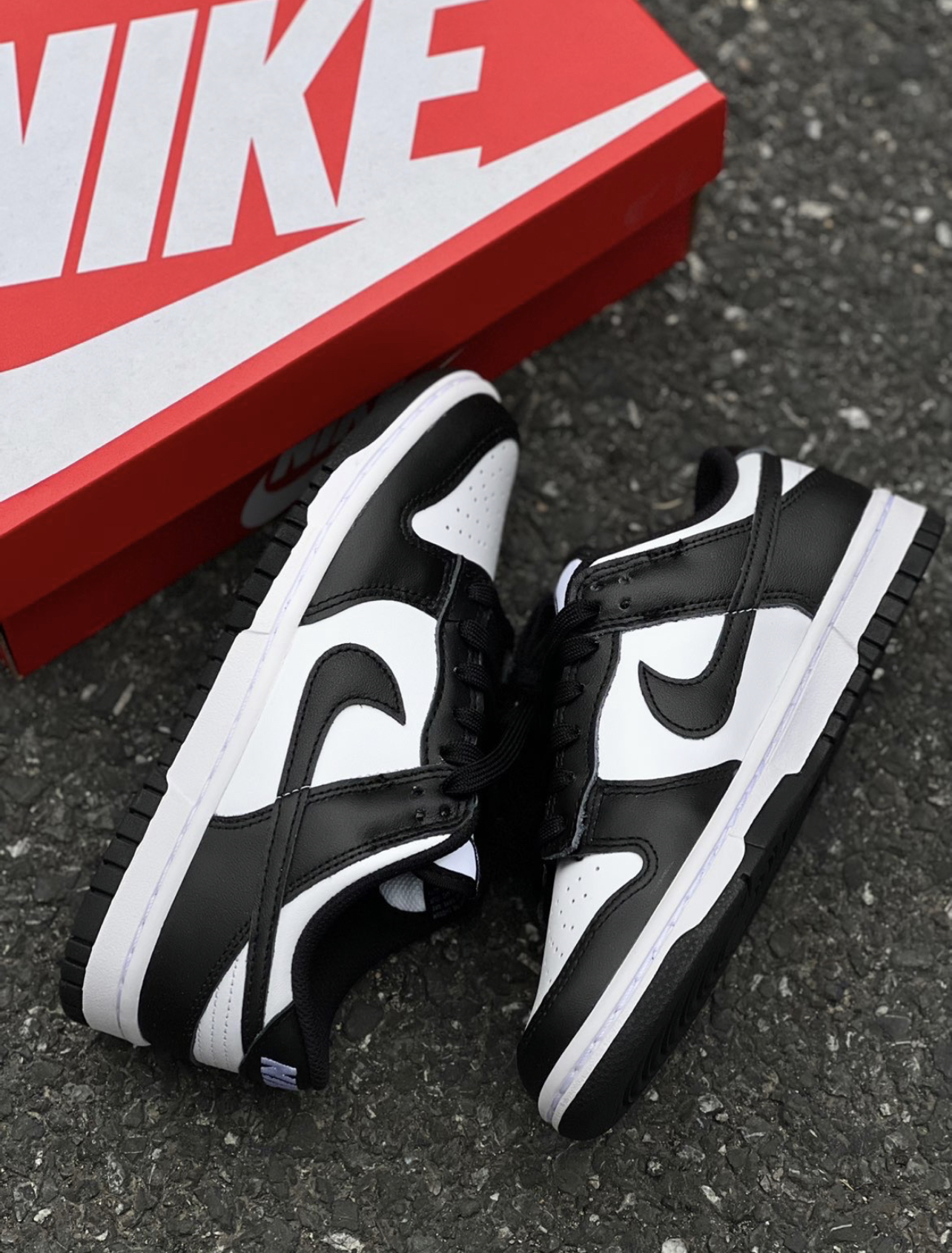 NIKE Dunk Low 熊貓 黑白 百搭 女款 DD1503-101/預購